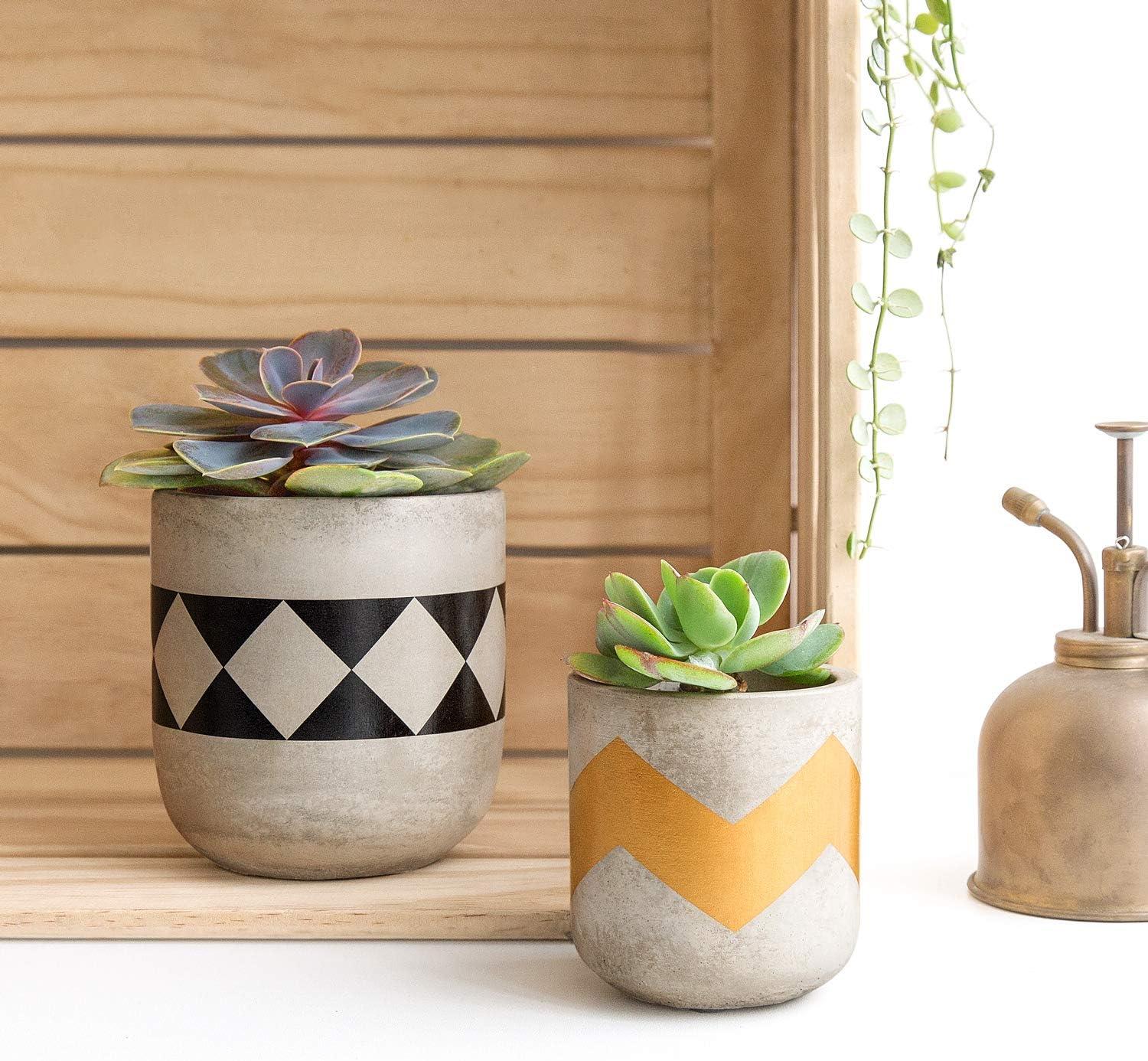 Set of 3 Modern 4-Inch Cement Succulent Planter Pots