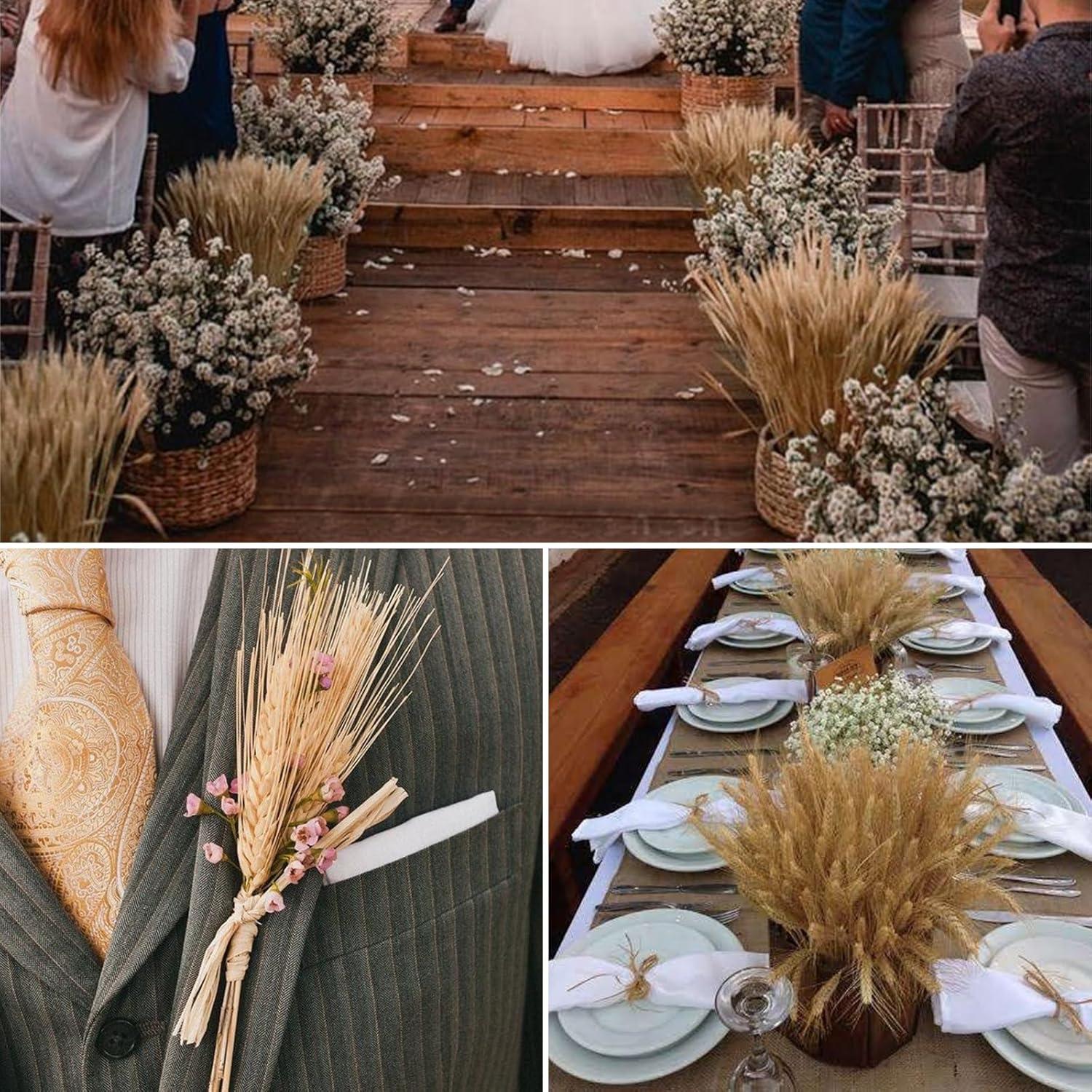 Ophelia & Co. 500PCS Dried Flowers Dried Wheat Stalks for Decor for Home DIY Design Table Centerpieces | Wayfair