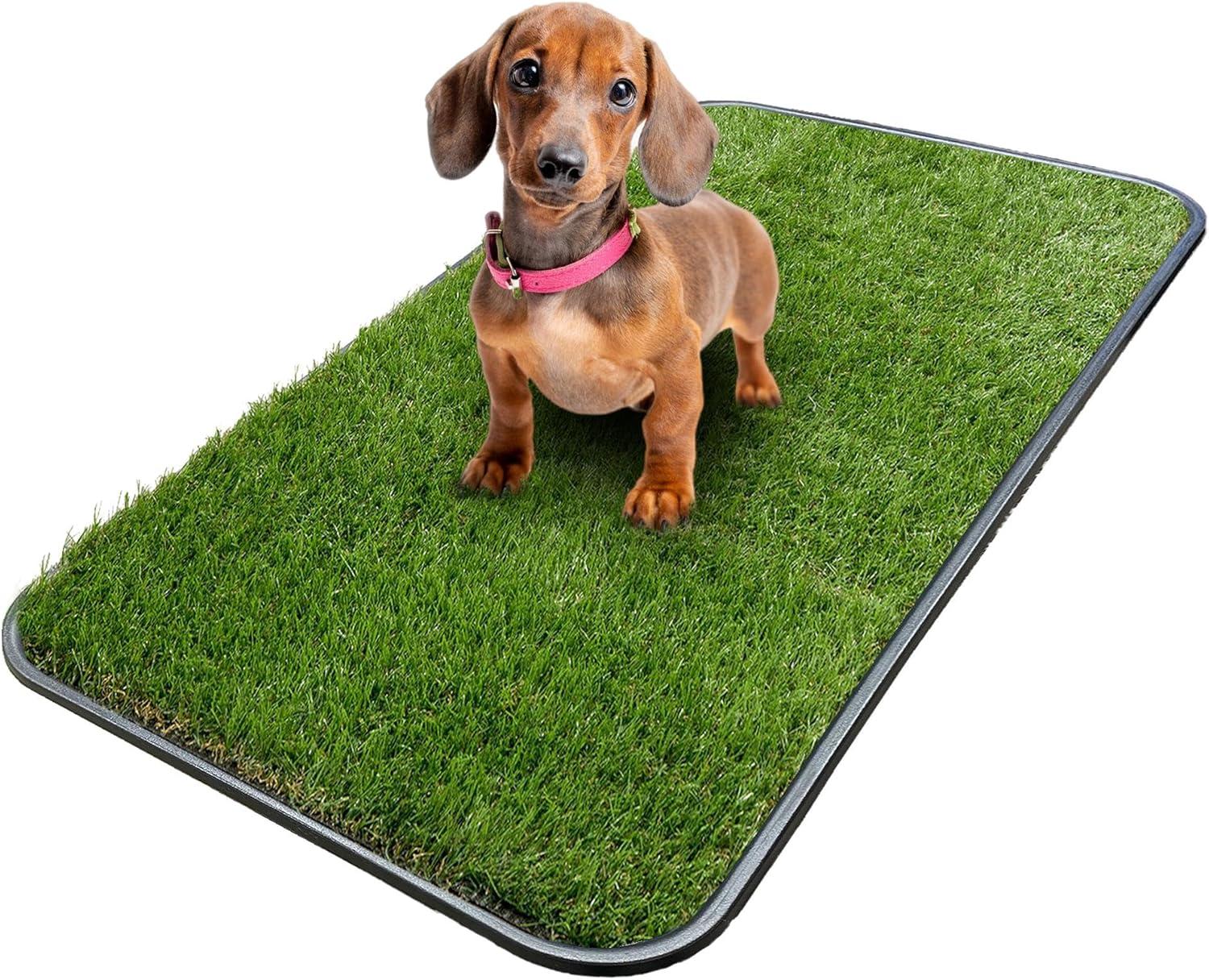 Ottomanson Pet Training Non-Slip Indoor/Outdoor Tray with Reusable Grass Pad
