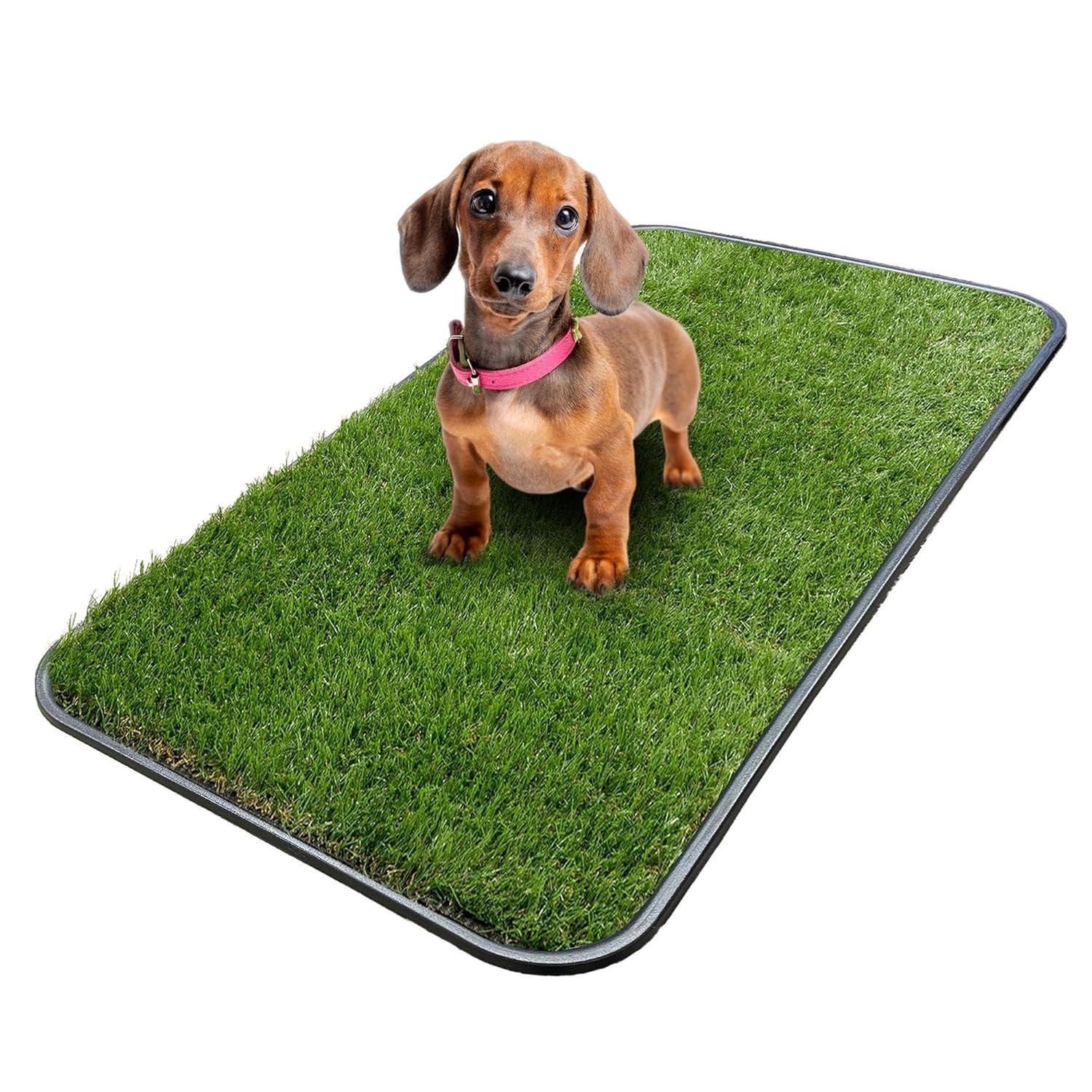 Ottomanson Pet Training Non-Slip Indoor/Outdoor Tray with Reusable Grass Pad