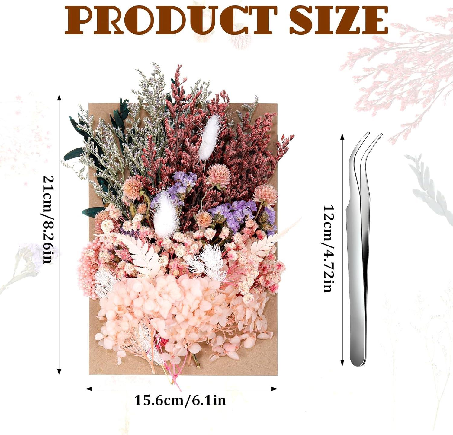 Yoloke DIY Dried Flowers Craft Kit - Natural Assorted Dried Florals for Making Everlasting Valentine's Day Gifts, Unique Design, Perfect for Framing & Creative Decor
