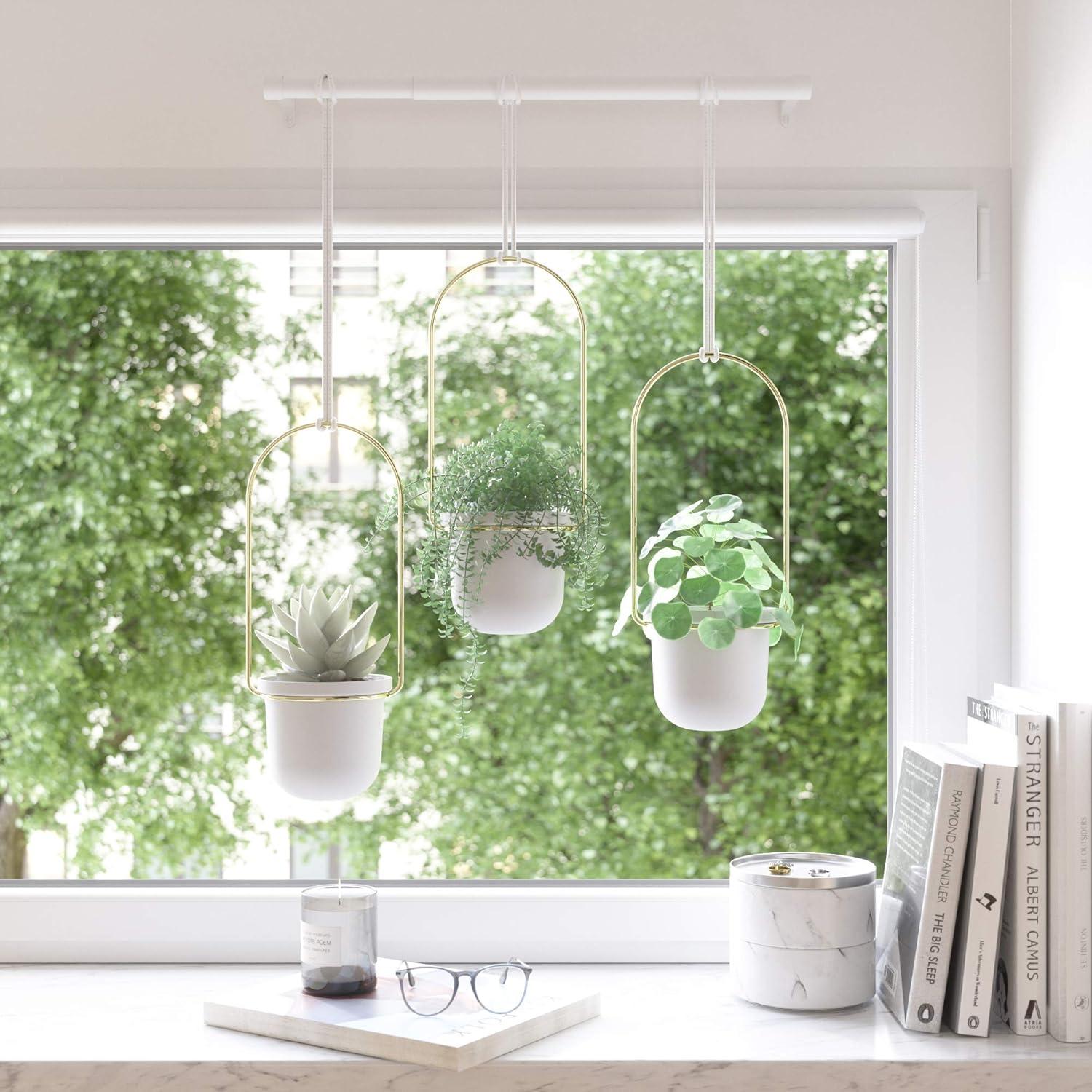 Umbra Triflora 3 Hanging Wall Planter