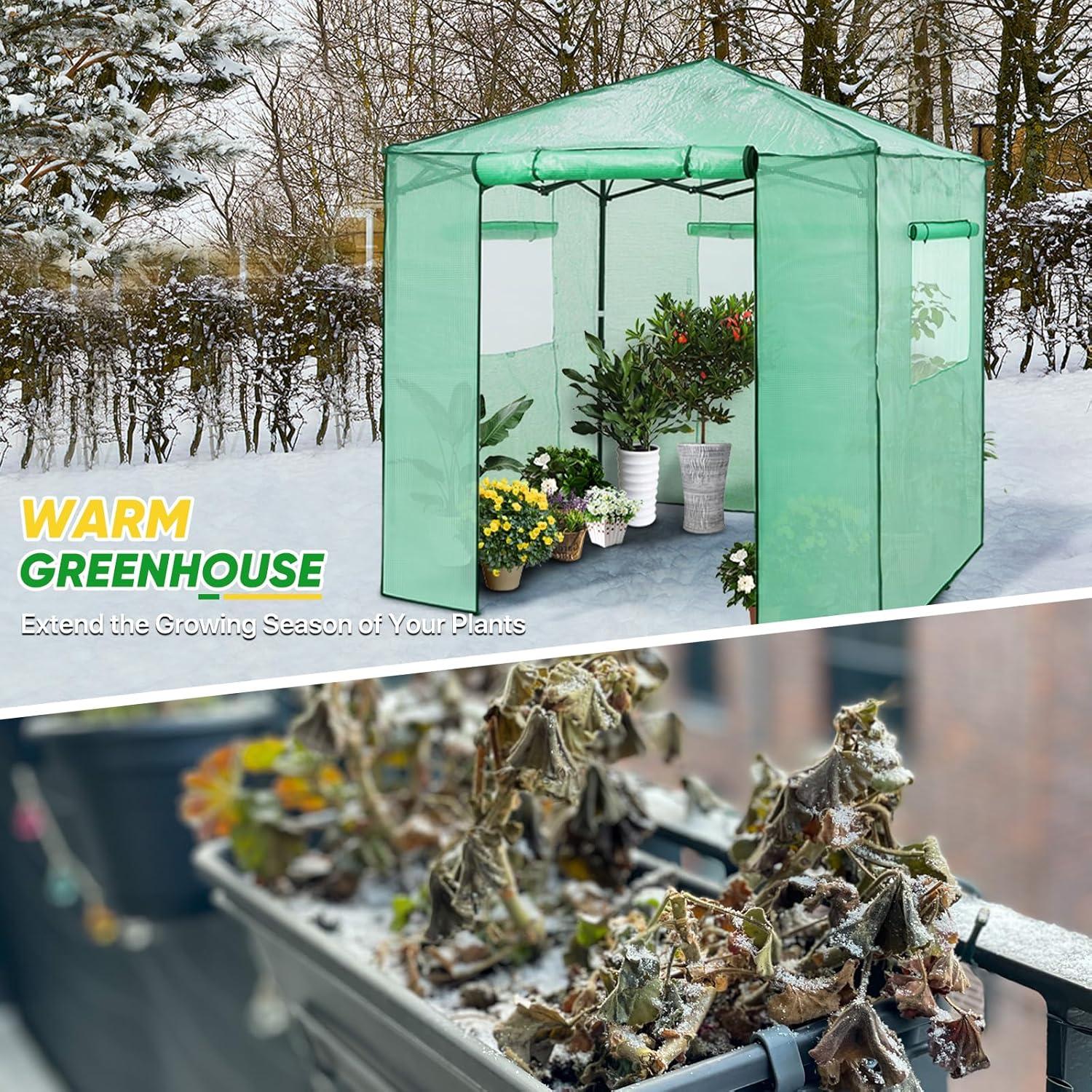 Pop Up Greenhouses 7 ft W x 7 ft D Greenhouse