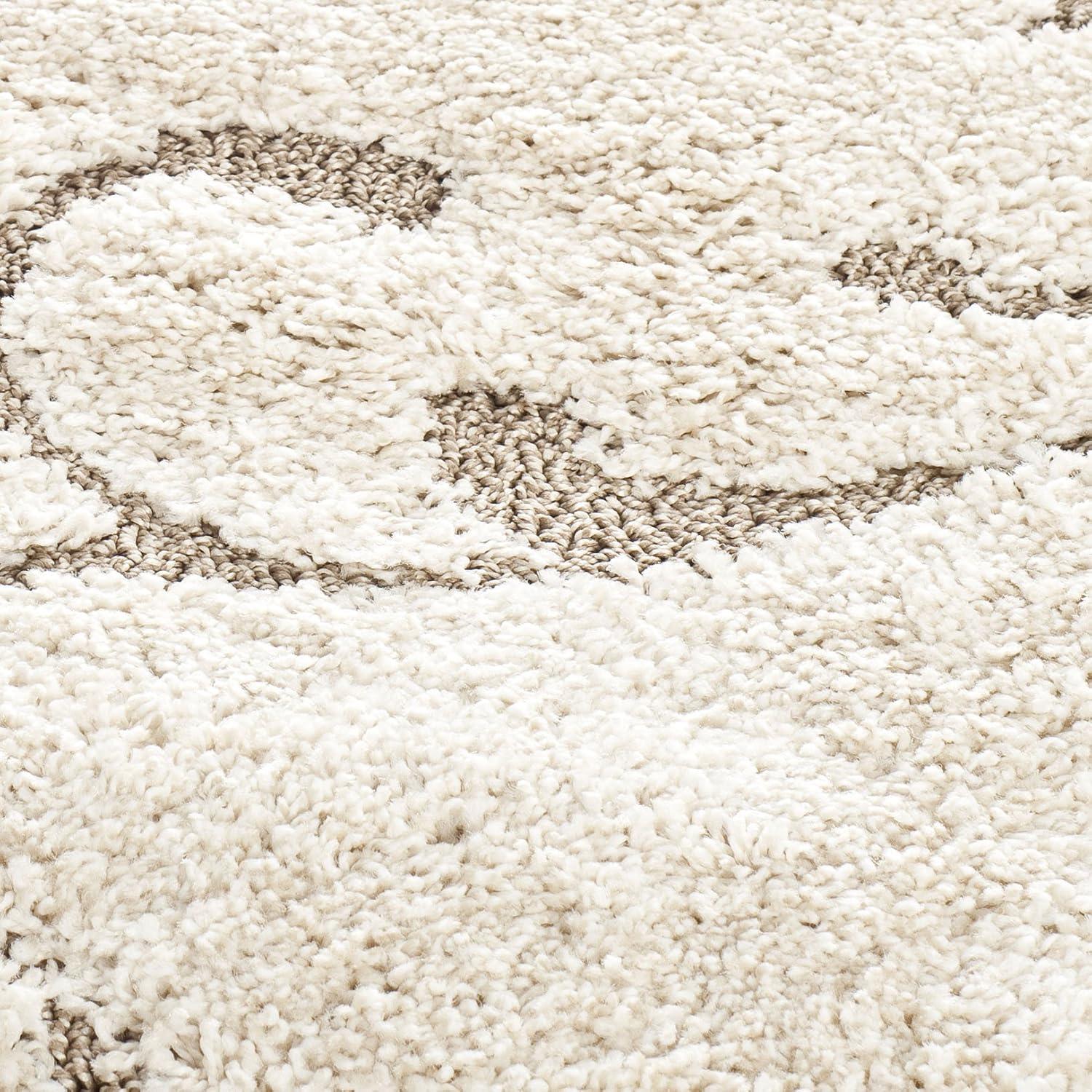 Florida Shag SG455 Power Loomed Indoor Area Rug - Cream/Beige - 4'x6' - Safavieh.