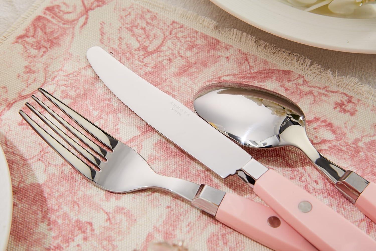 ANNOVA Silverware Set Stainless Steel Cutlery Color Handle With Rivet/Retro Flatware (Light Pink, 20 Pieces)