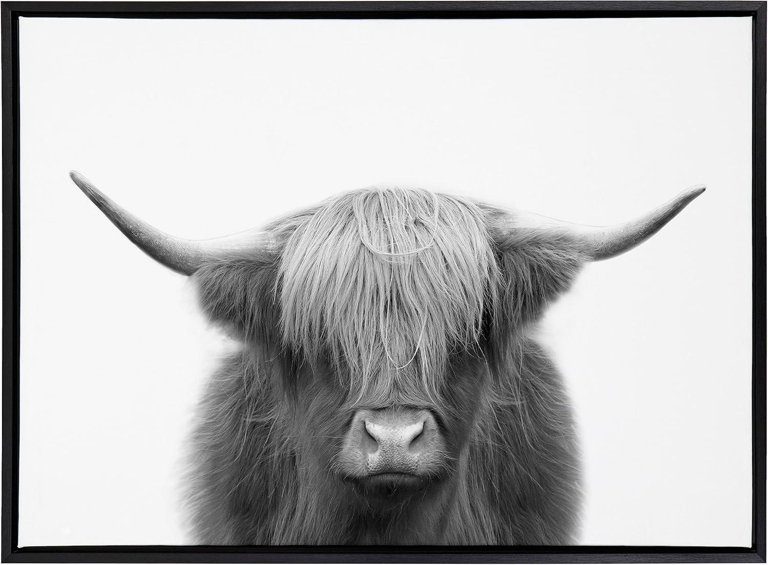 Kate and Laurel Sylvie Hey Dude Highland Cow BW Framed Canvas Wall Art by The Creative Bunch Studio, 28x38 Black, Decorative Farmhouse Animal Art for Wall