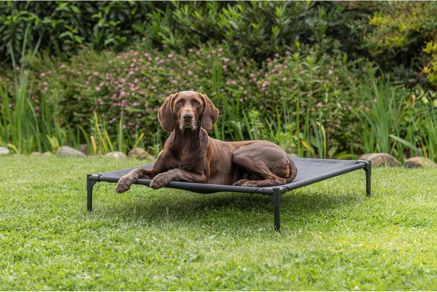 TRIXIE 2-in-1 Elevated Dog House, Portable Pet Camping Cot & Tent, Raised Bed & Dog Shade for Dogs