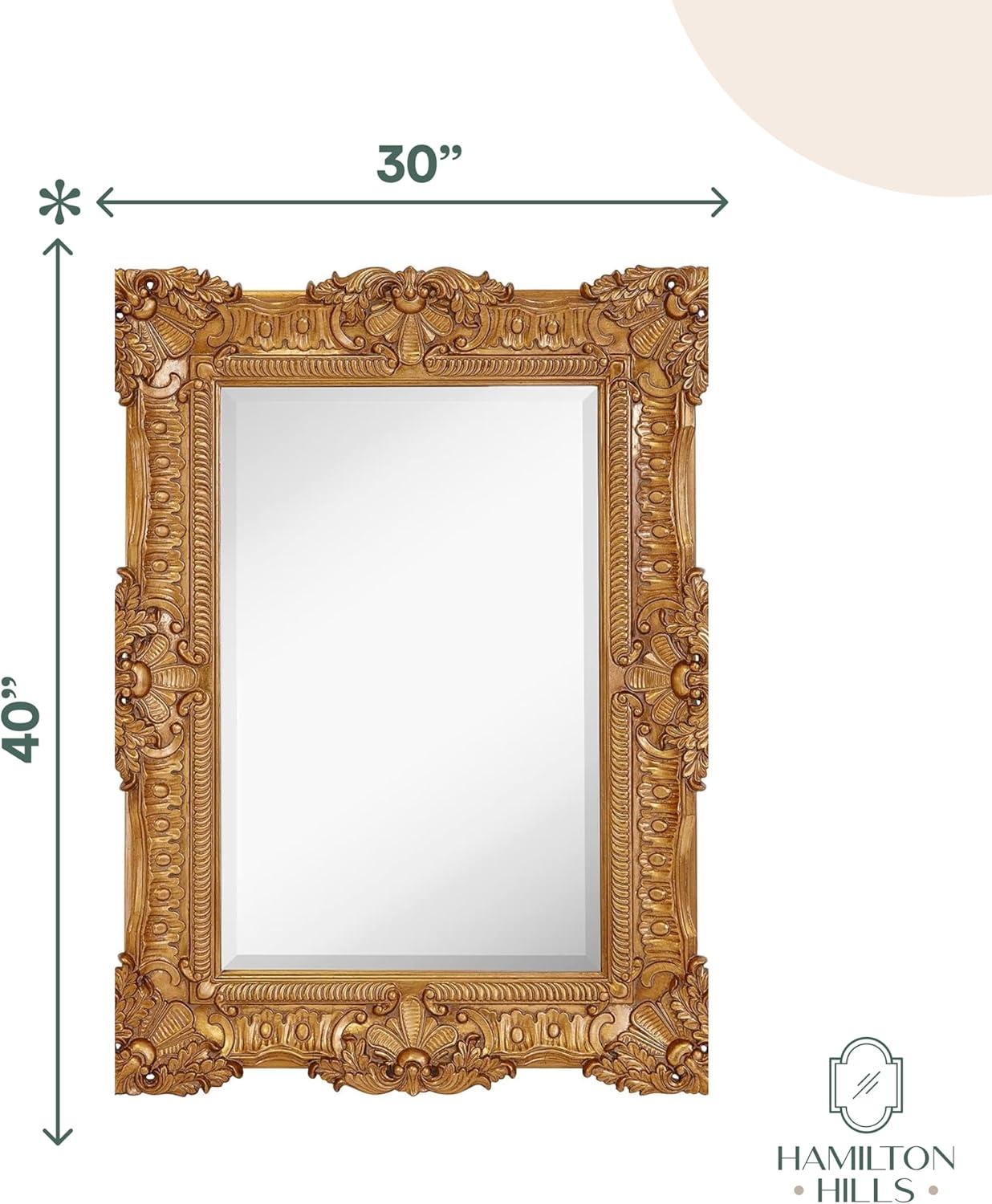 Hamilton Hills Large Ornate Gold Baroque Frame Mirror