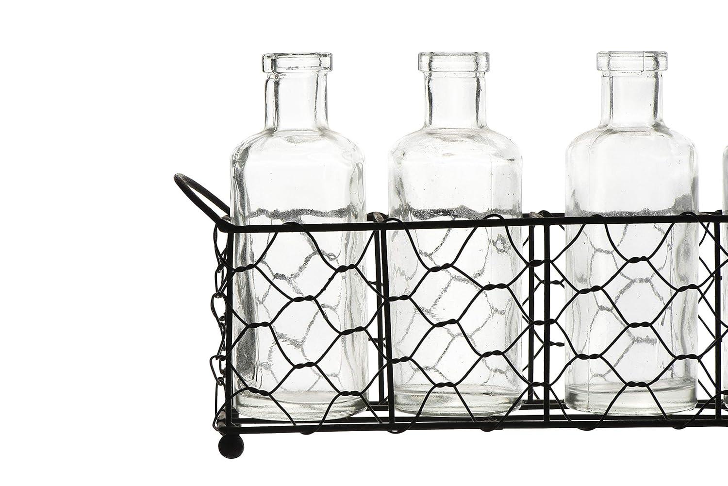 Creative Co-Op 5 Glass Vase Bottles on a Rectangle Metal Holder with Handles, Clear and Black, Set of 6