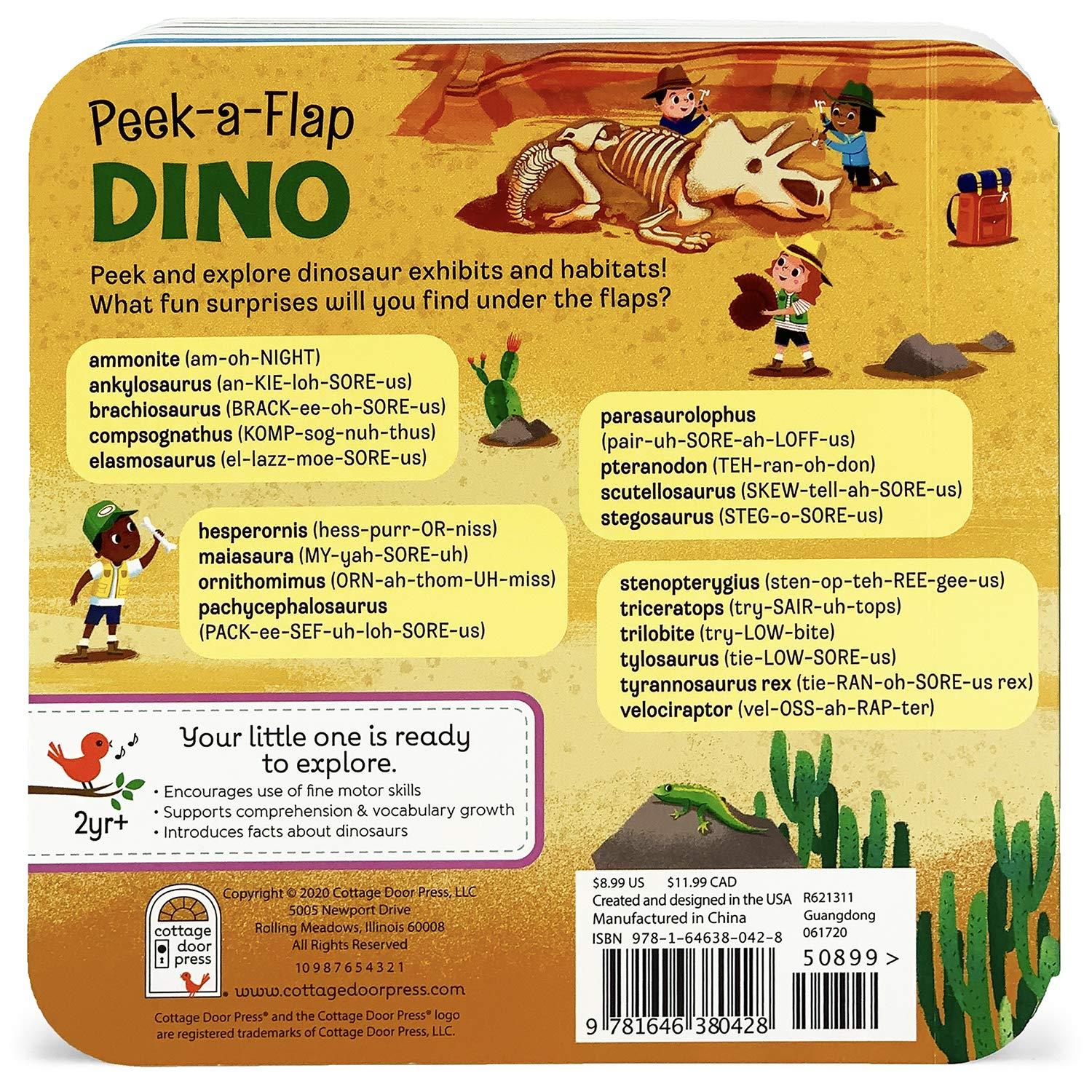 Dino - (Peek-A-Flap Children's Interactive Lift-A-Flap Board Book) by Jaye Garnett (Board Book)