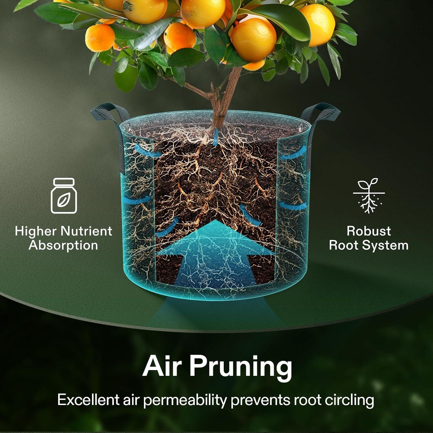 VIVOSUN 5-Pack 3 Gallon Grow Bags, 500G Thick Nonwoven Fabric Pots with Strap Handles, Multi-Purpose Rings, for Low Stress Plant Training Fruits, Vegetables, and Flowers