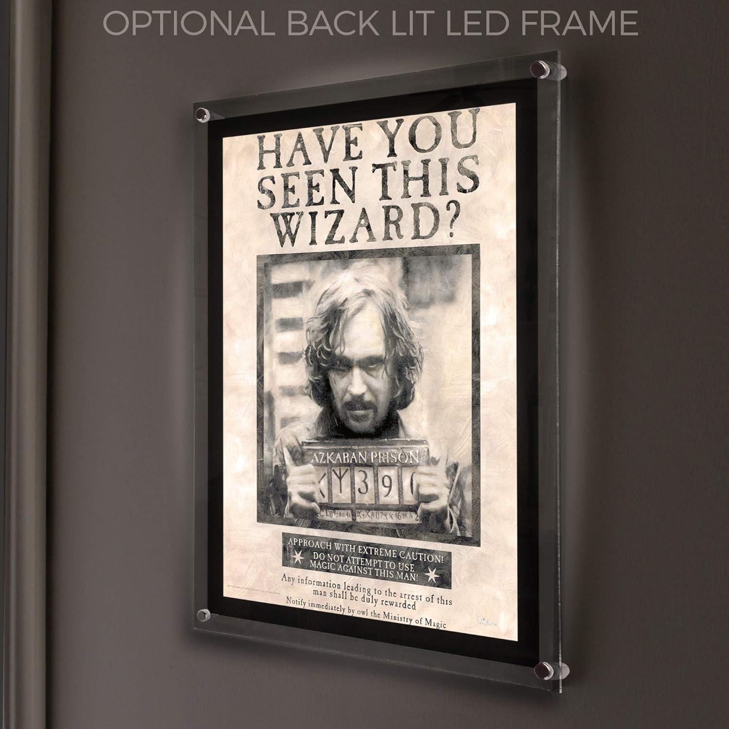 Harry Potter 'Sirius Black' MightyPrint Wall Decor