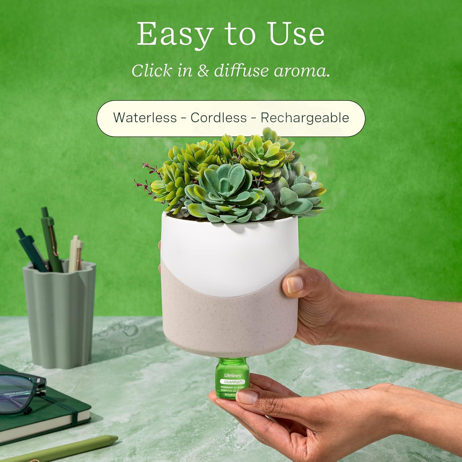 Lifelines Planter Diffuser - Succulent