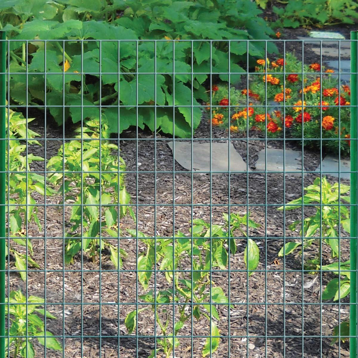 Garden Zone Green Vinyl Coated 48 in. H x 50 ft. L Steel Fence