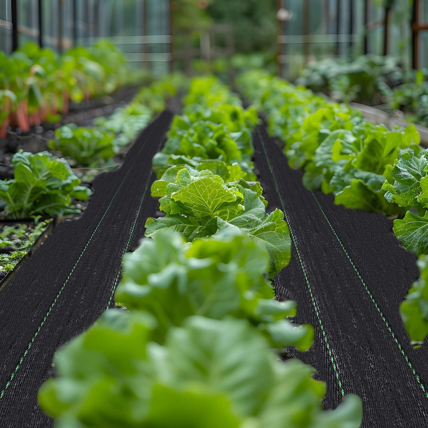 4FT x 50FT Weed Barrier Landscape Fabric Premium Heavy Duty with High Water Permeability and Breathability Woven Geotextile Fabric for Underlayment