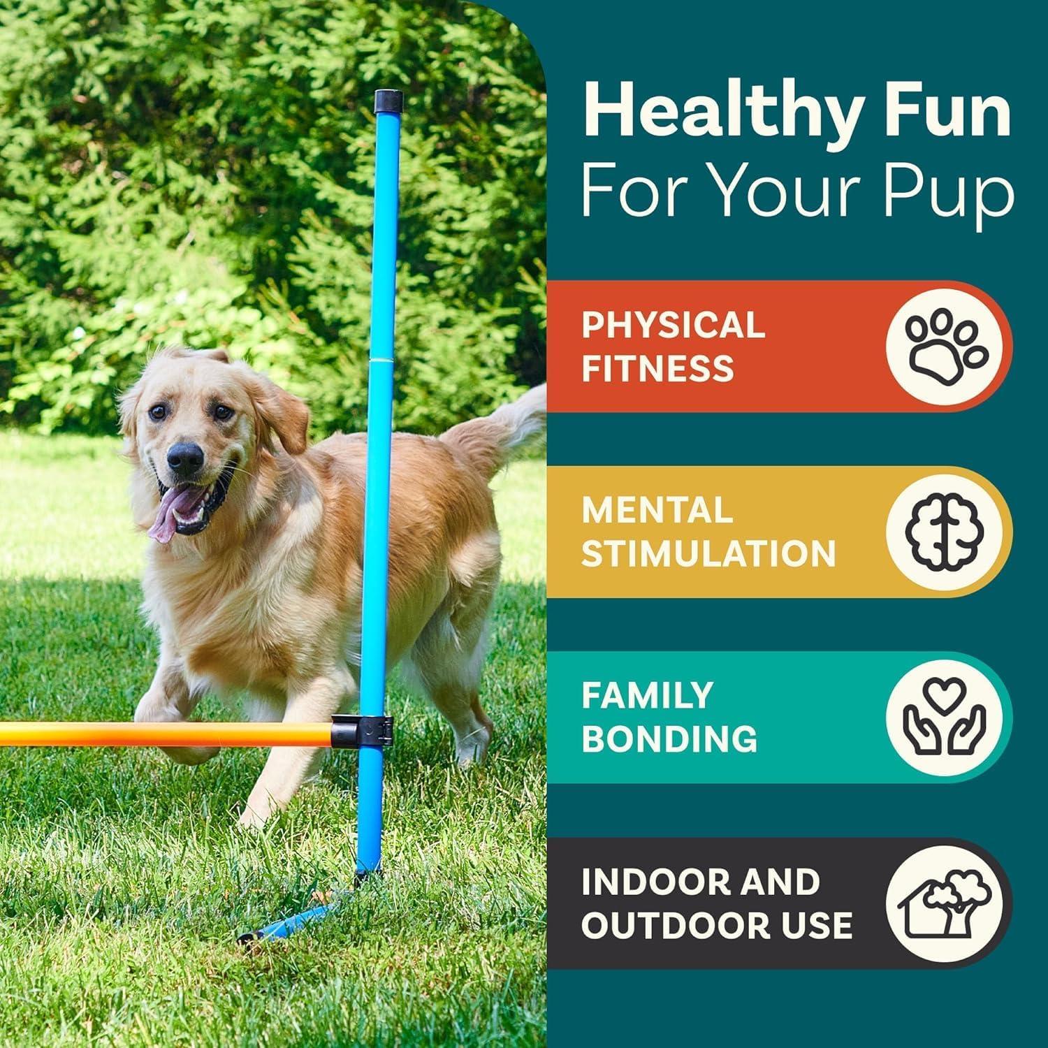 PetCove Blue and Orange Dog Agility Training Set