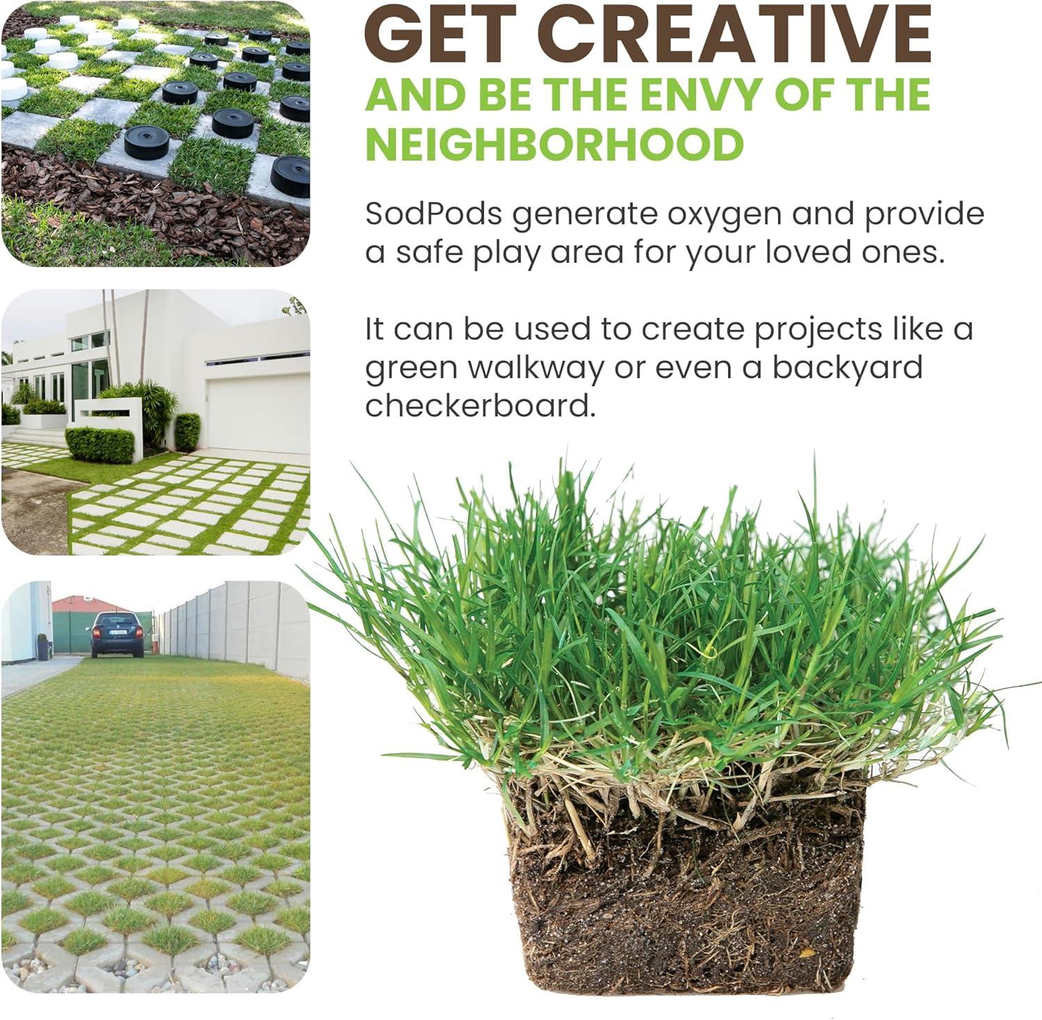 SodPods® Bermuda Grass Plugs (32-Count) Heat & Drought Tolerant Grass, Fast-Spreading, Durable Lawn Repair with Fully Developed Natural Roots – Cannot Ship to CA or AZ