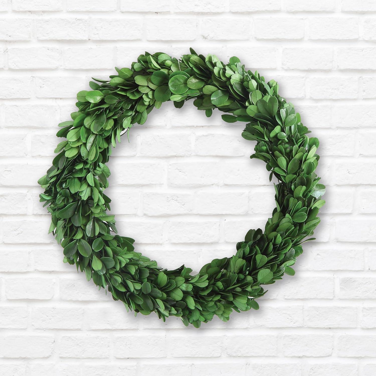 Storied Home Preserved Genuine Boxwood Wreath Green