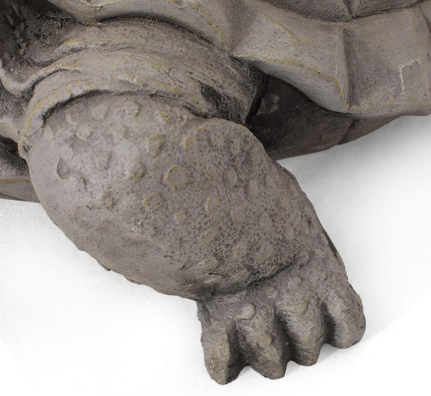 Christopher Knight Home Irwington Outdoor Turtle Statue, Dark Gray