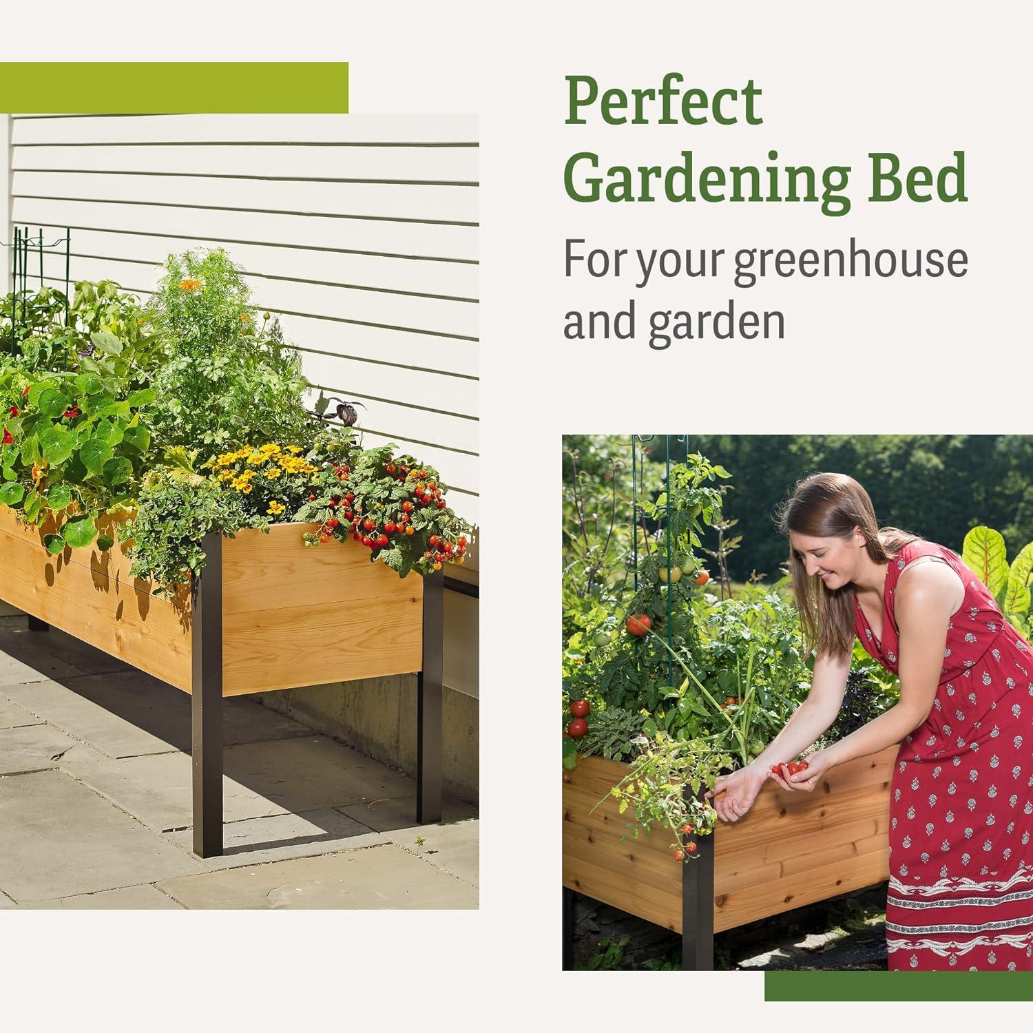Gardener's Supply Company Elevated Cedar Raised Garden Bed | 2' x 8' Heavy Duty Standing Planter Box with Aluminum Corners for Outdoor Plants Vegetables Flowers | Perfect for Patio & Backyard