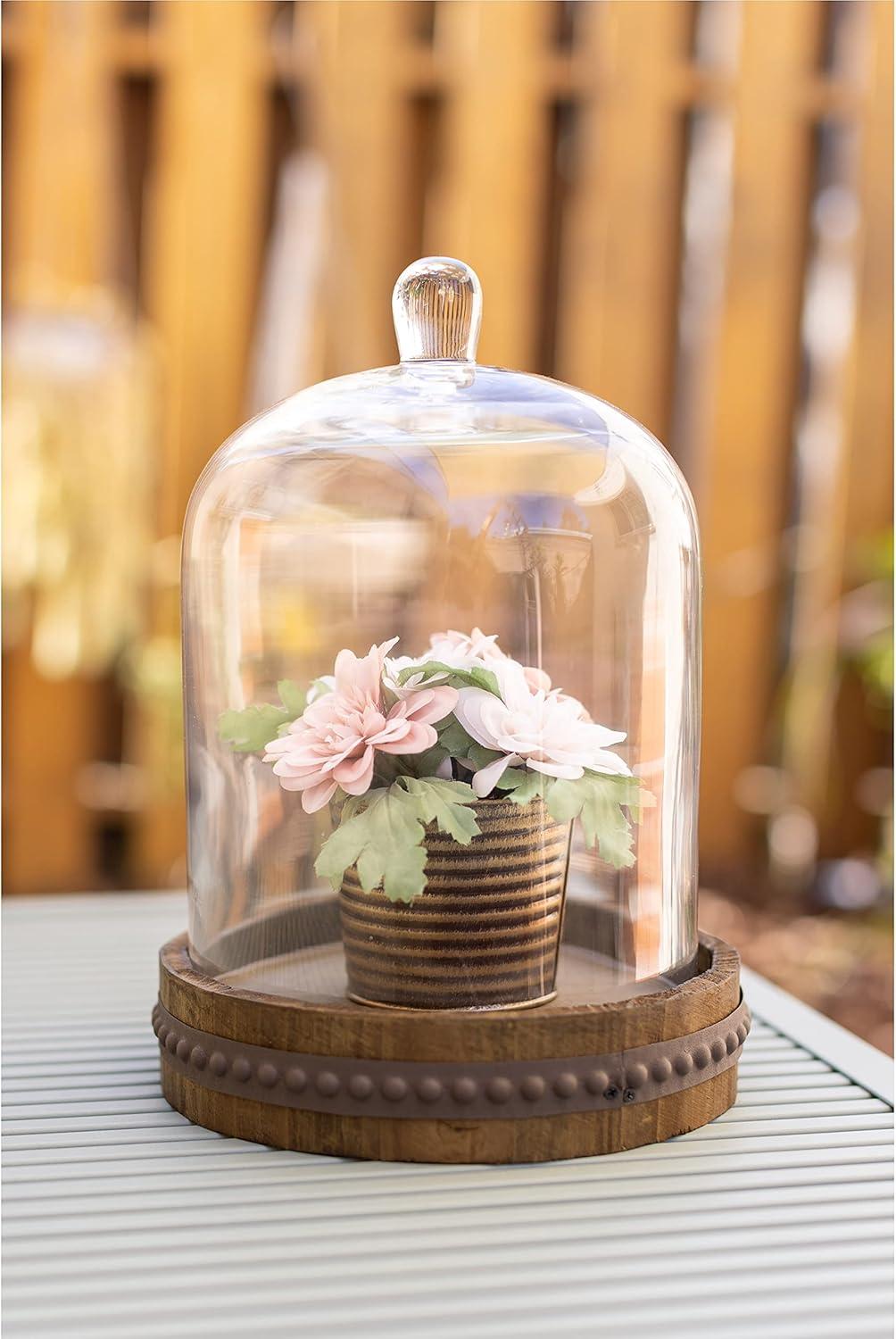 Medium Rustic Wood with Bell Shaped Cloche