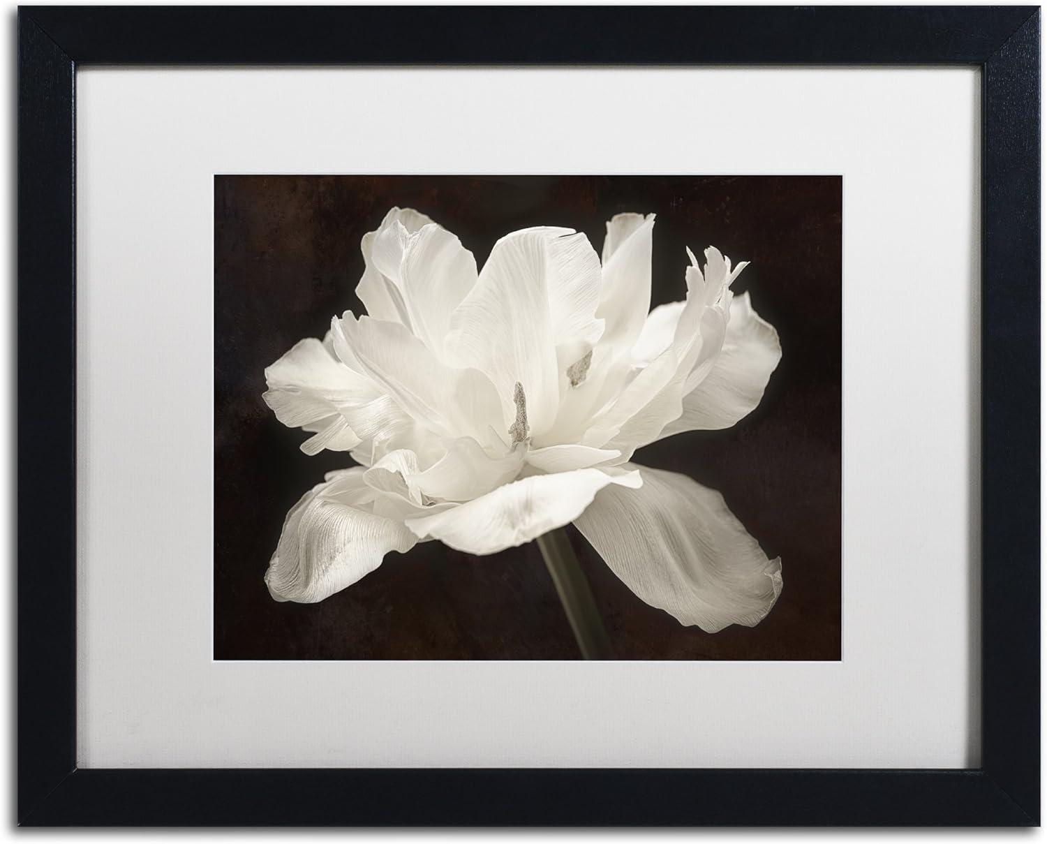 White Tulip I Framed Canvas Art with Black Frame