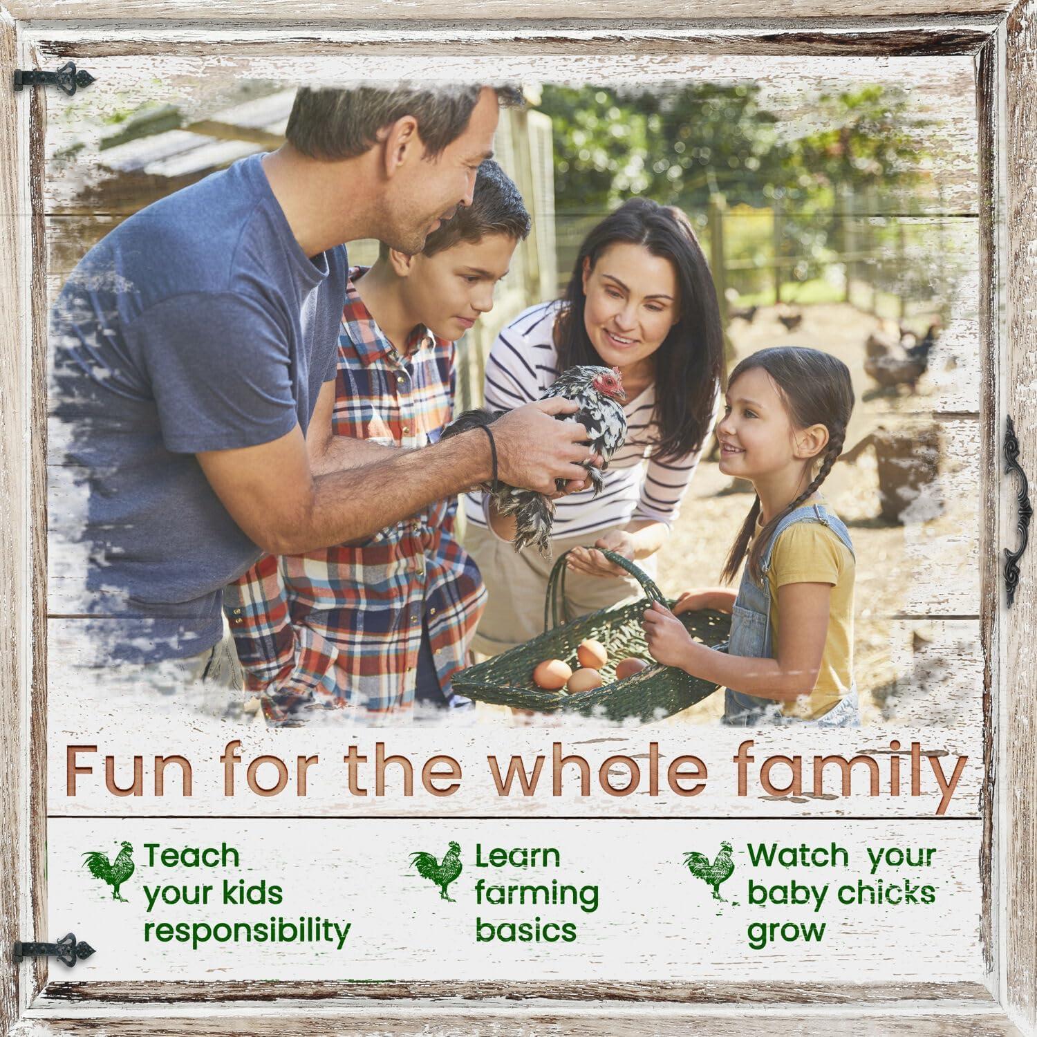 Hanover Outdoor Wooden Bird Cage with 3 Resting Bars, Ladder, Waterproof Roof and Removable Tray, 2.9 Ft. x 2.1 Ft. x 5.8 Ft.