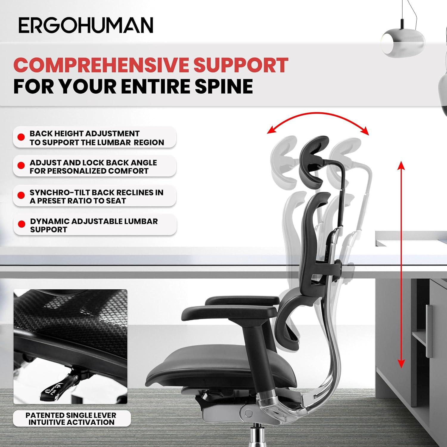 Eurotech Seating Ergohuman Executive Chair with Headrest