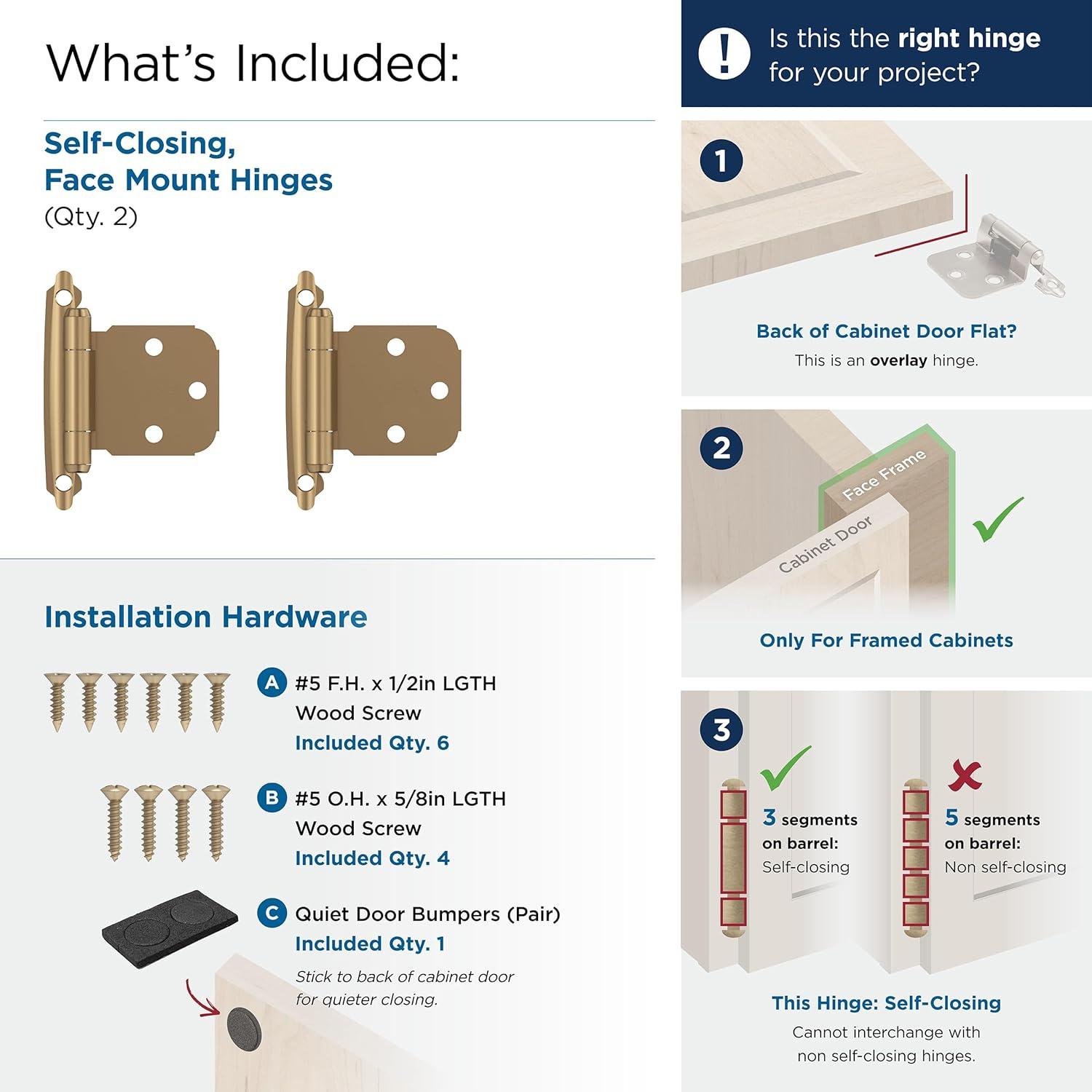 Amerock Face Mount Overlay Hinge (Set of 2)