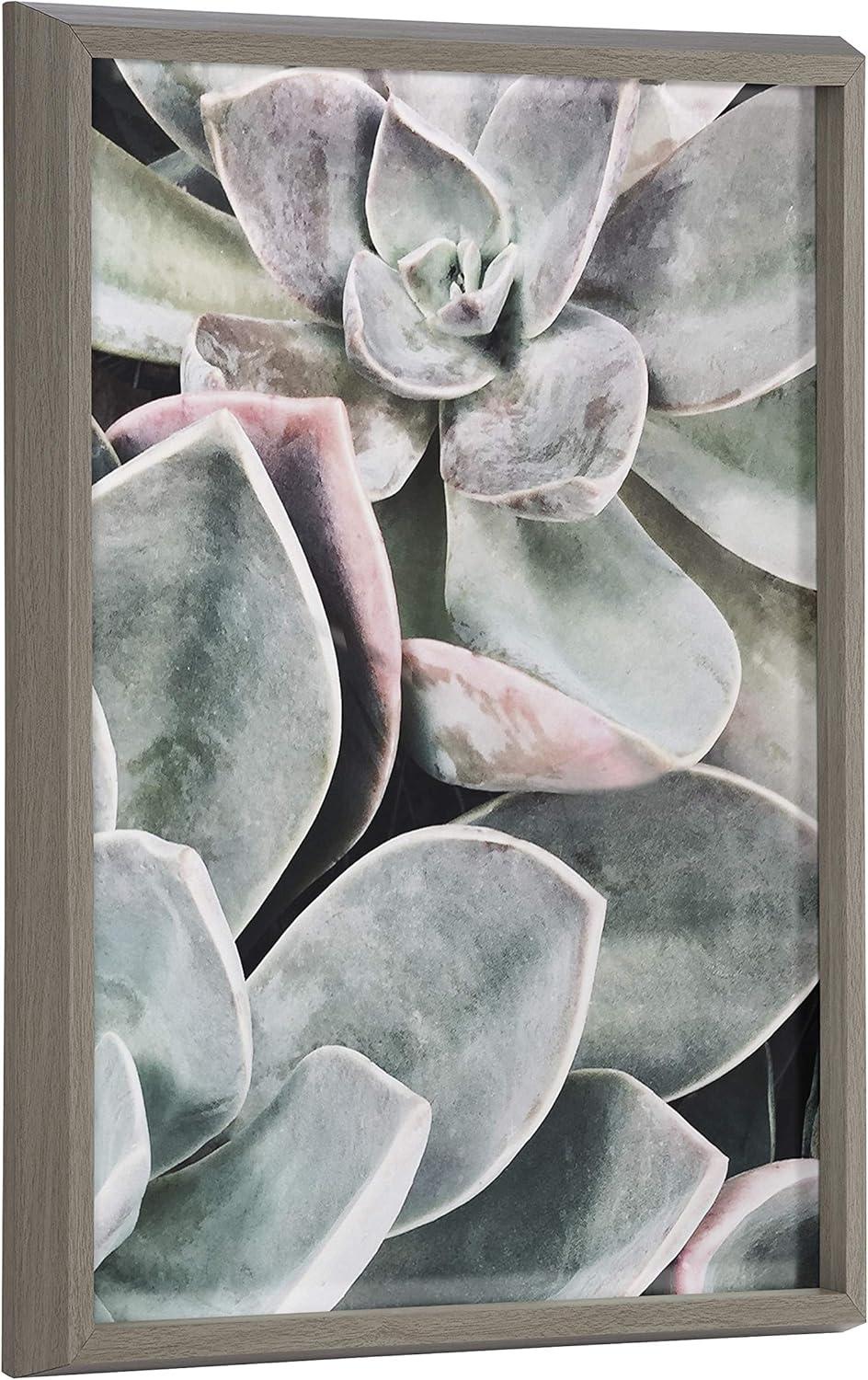 18" x 24" Blake Botanical Succulent Plants 1 by Creative Bunch Studio: Modern Wall Decor Art - Kate & Laurel All Things Decor