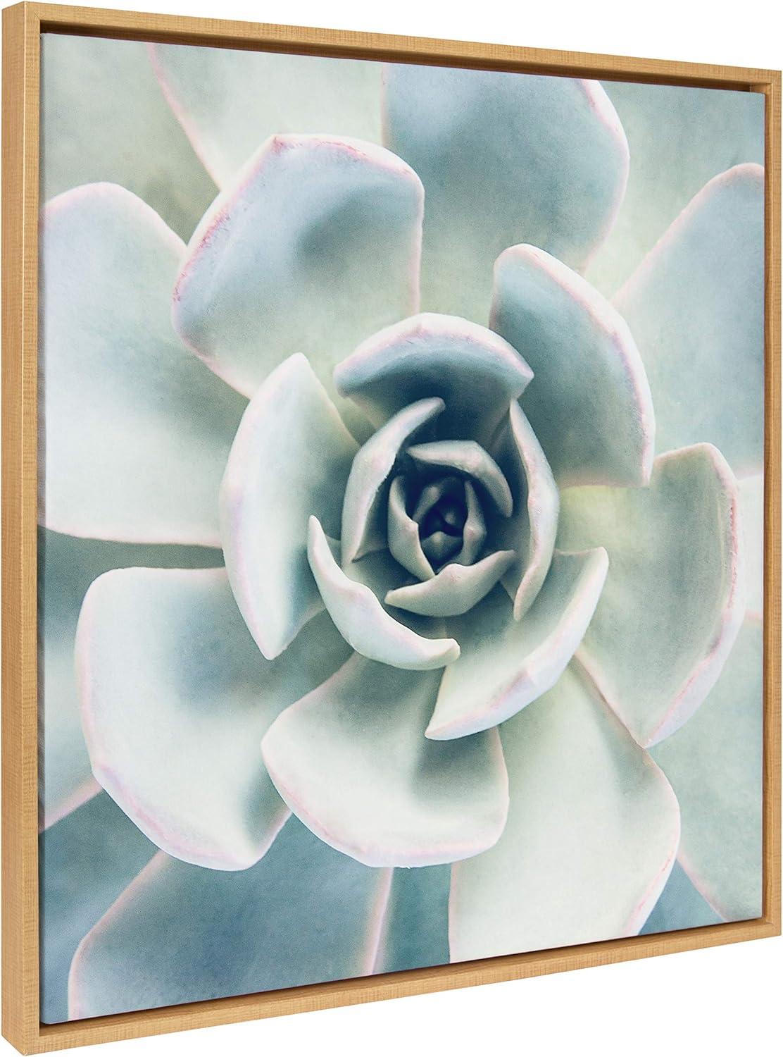 30" x 30" Sylvie Succulent 7 Framed Canvas by F2 Images Natural - Kate & Laurel All Things Decor: Wall Display, Botanical Digital Art