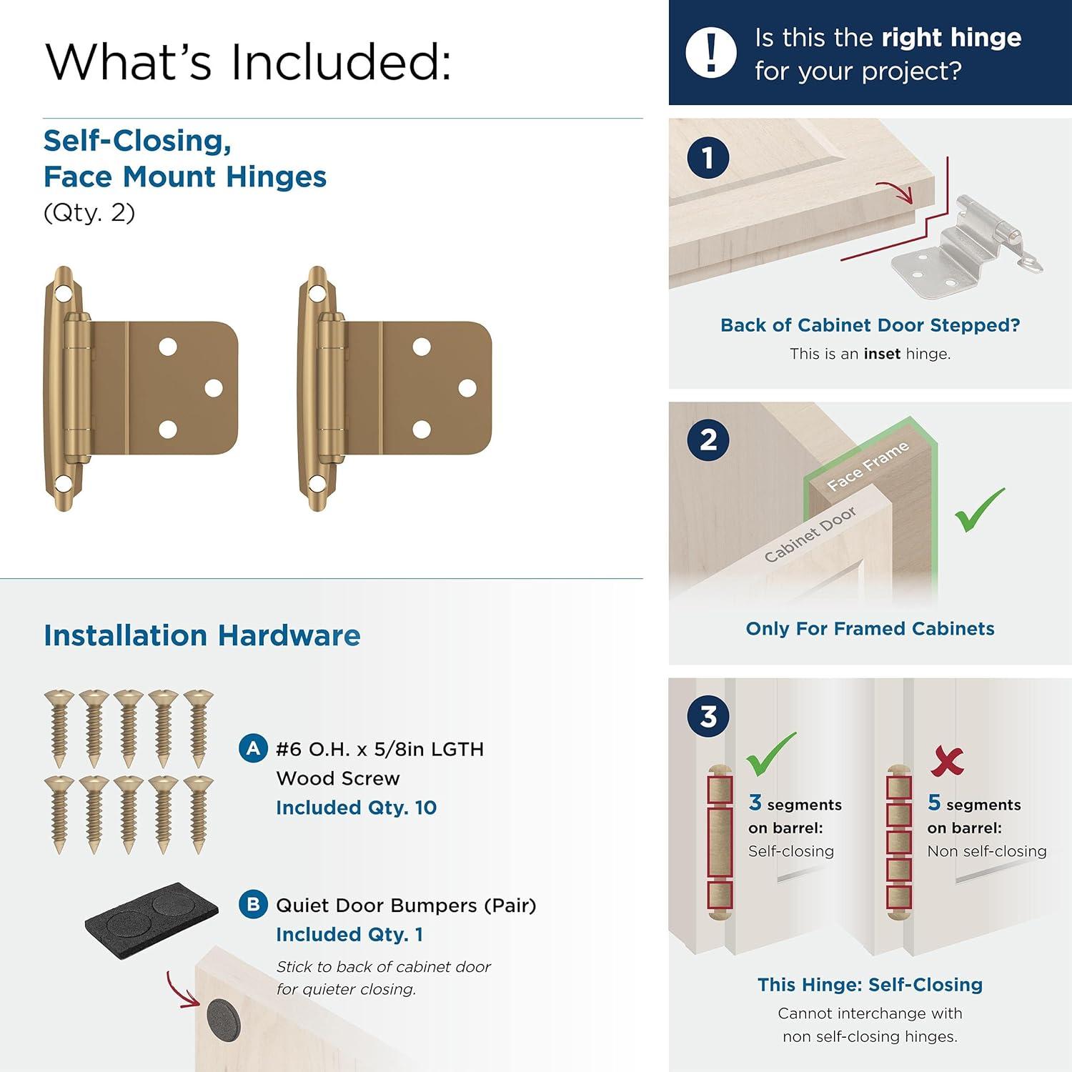 Face Mount Inset Hinge