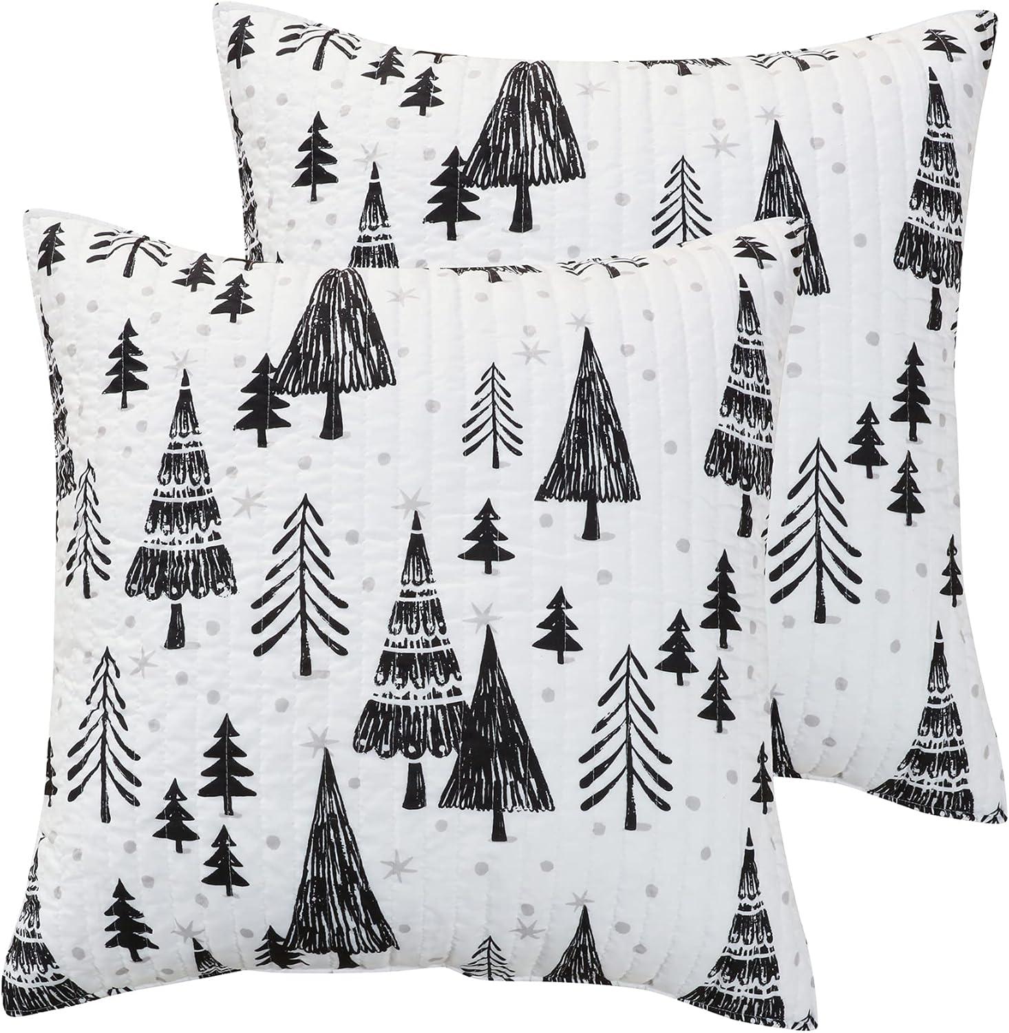 Northern Star Holiday Euro Sham Set of 2 Black - Levtex Home