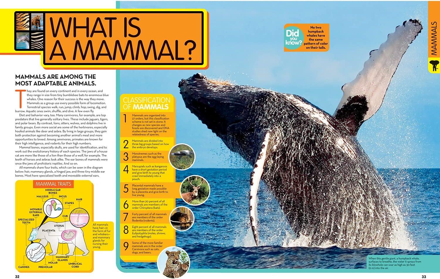 National Geographic Kids Animal Encyclopedia, 2nd Edition - (Hardcover)
