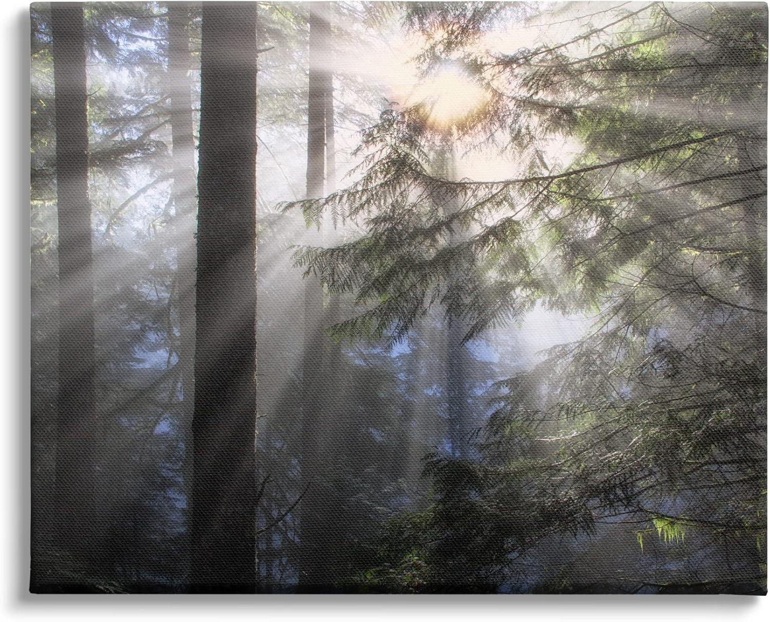 Stupell Industries Au-821-Canvas " Forest Sun Rays Nature Scenery " by Dennis Frates