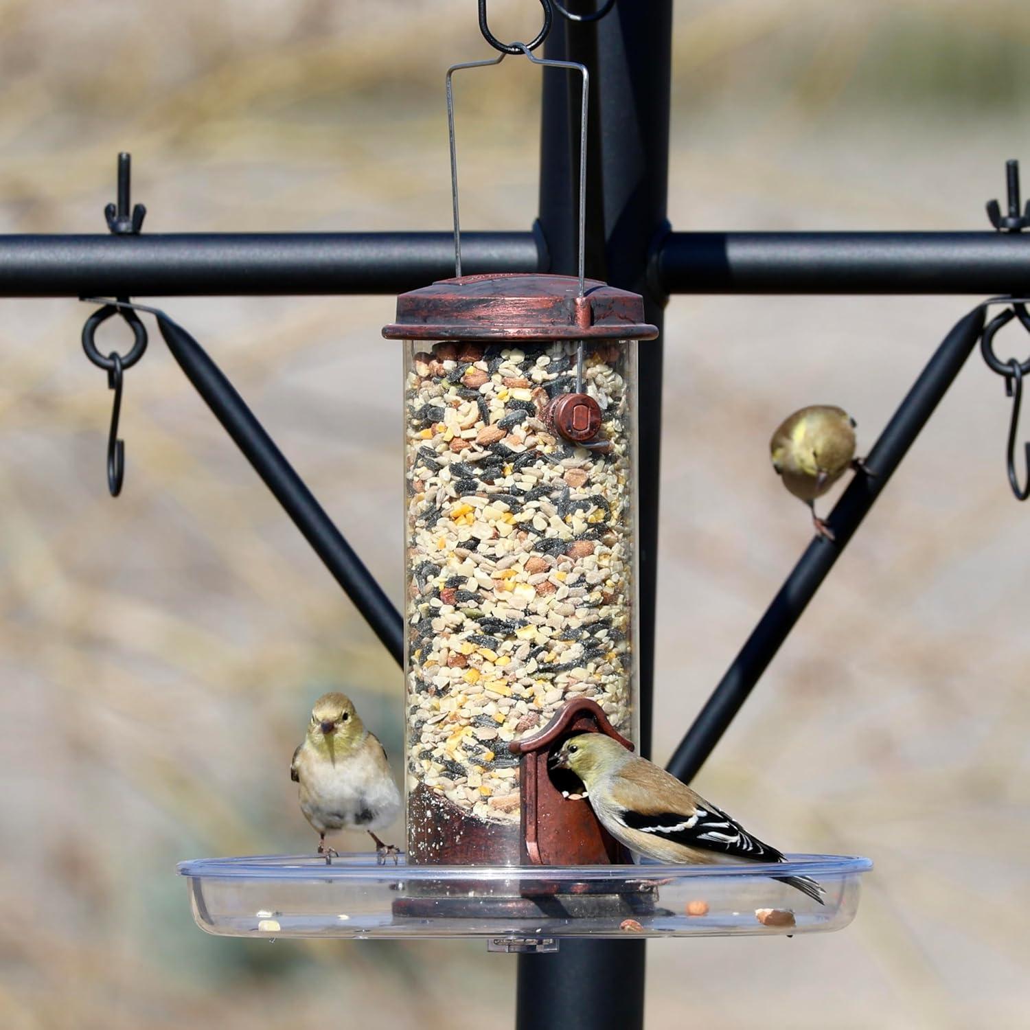 Clear Acrylic Surface Mount Bird Seed Tray with Drainage Holes