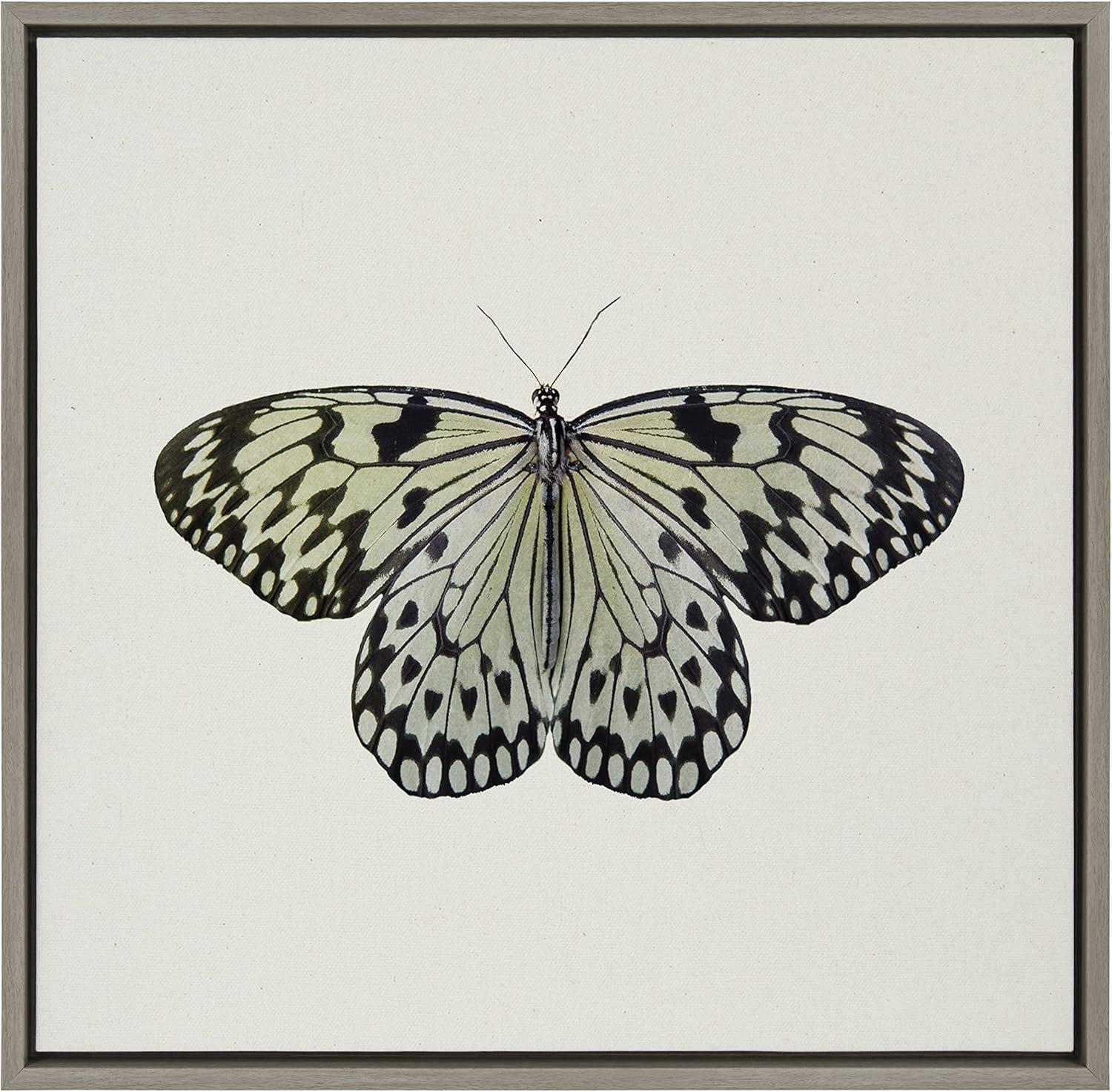 Kate and Laurel Sylvie Two Tone Butterfly Framed Canvas by Robert Cadloff of Bomobob, 22x22, Gray