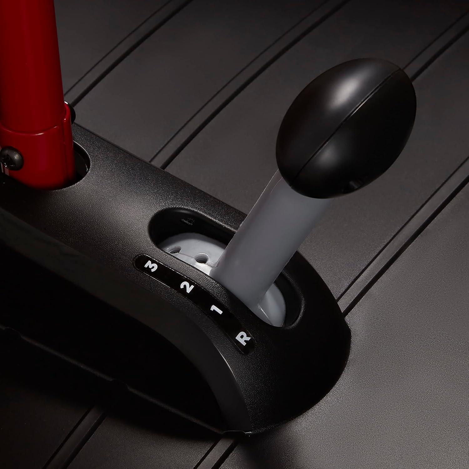 Radio Flyer Ultimate 24 Volt Electric Go-Kart with 2 Seats, Adjustable Seat, Rubber Wheels, and Speeds up to 8 MPH, for Kids Ages 3-8, Red