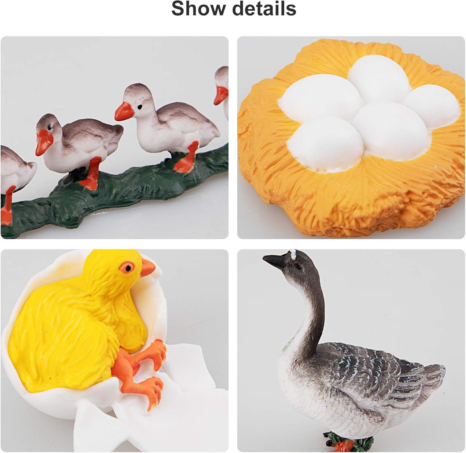 TOYMANY 16PCS Farm Animals Figurines Life Cycle of Chicken Hen Duck Goose White Swan, Plastic Safariology Growth Cycle Eggs Figures Toy Kit School Project Cake Topper for Kids Toddlers