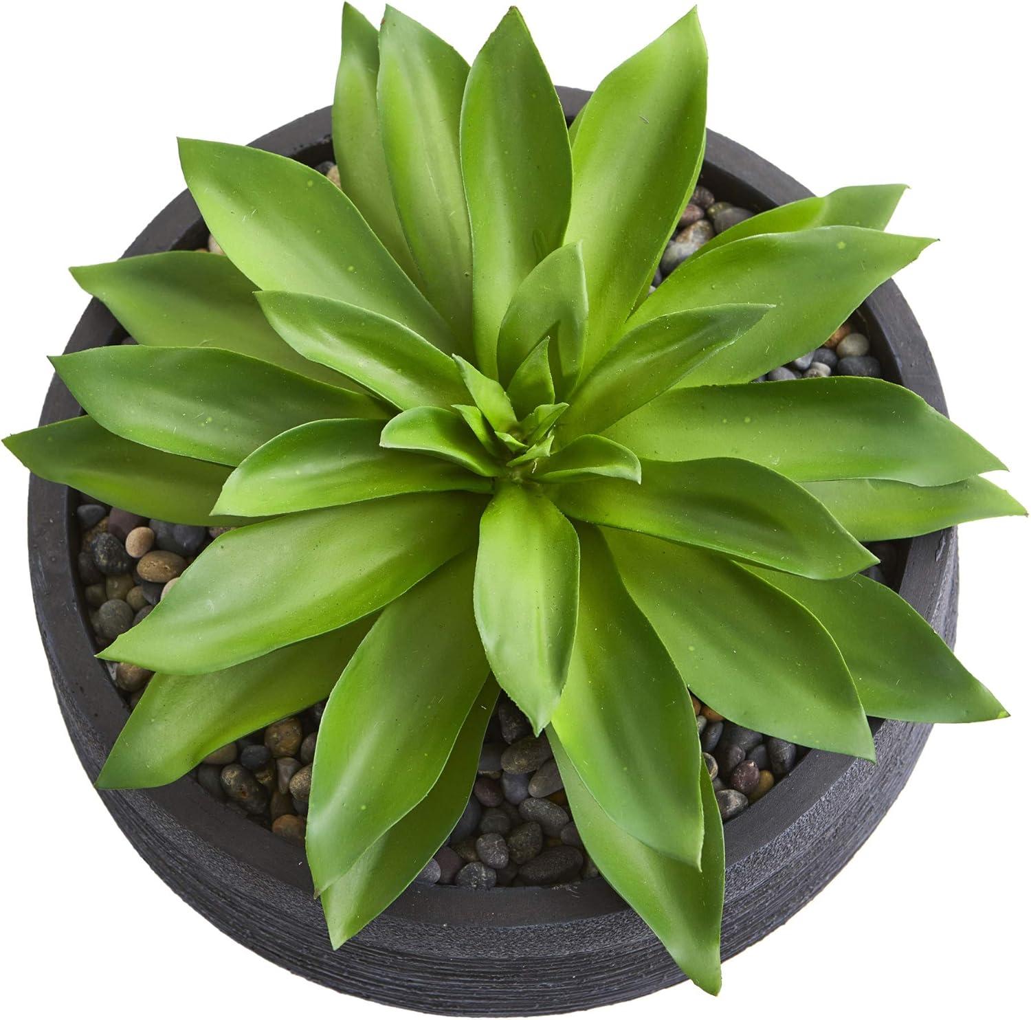 Large Green Plastic Succulent in Textured Iron Bowl