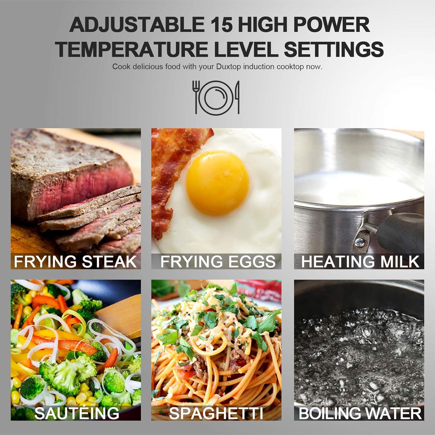 Duxtop 1800W Portable Induction Cooktop Countertop Burner, Gold 9120MC/BT-M20B