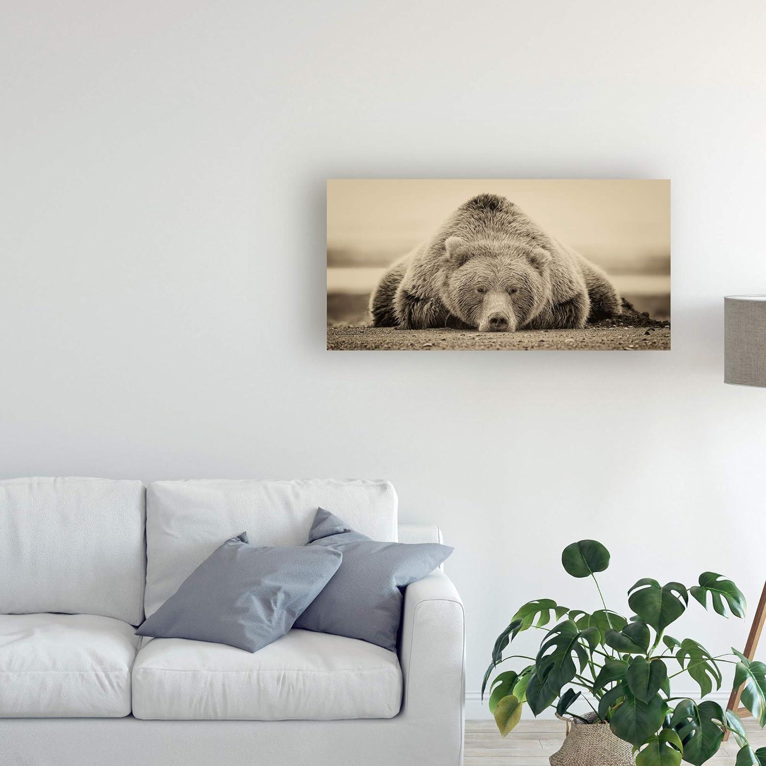 24" x 47" Phburchett 'Deep Sleep' Canvas Art