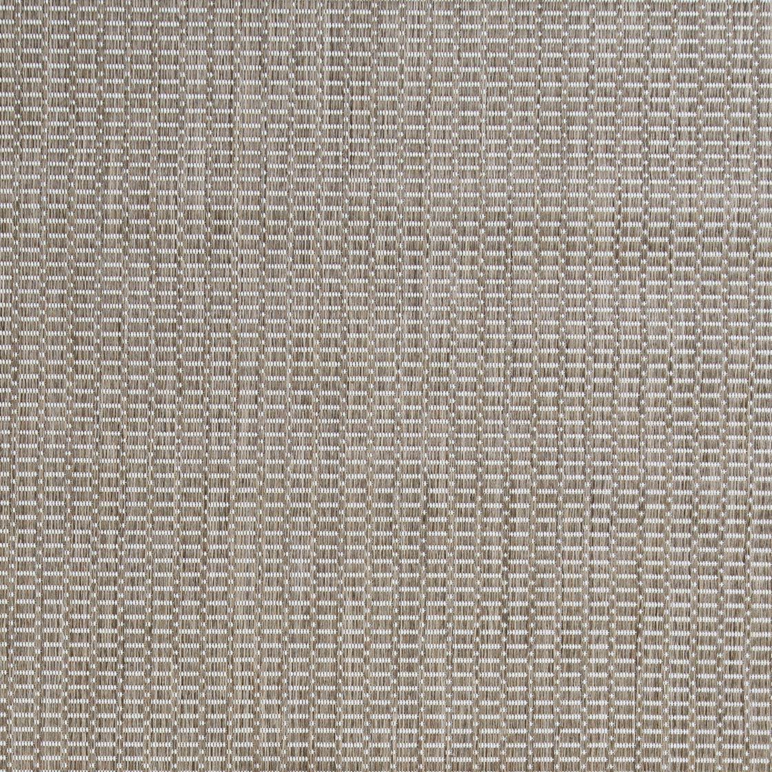 Champagne Taupe Flat Woven Synthetic Indoor Outdoor Rug