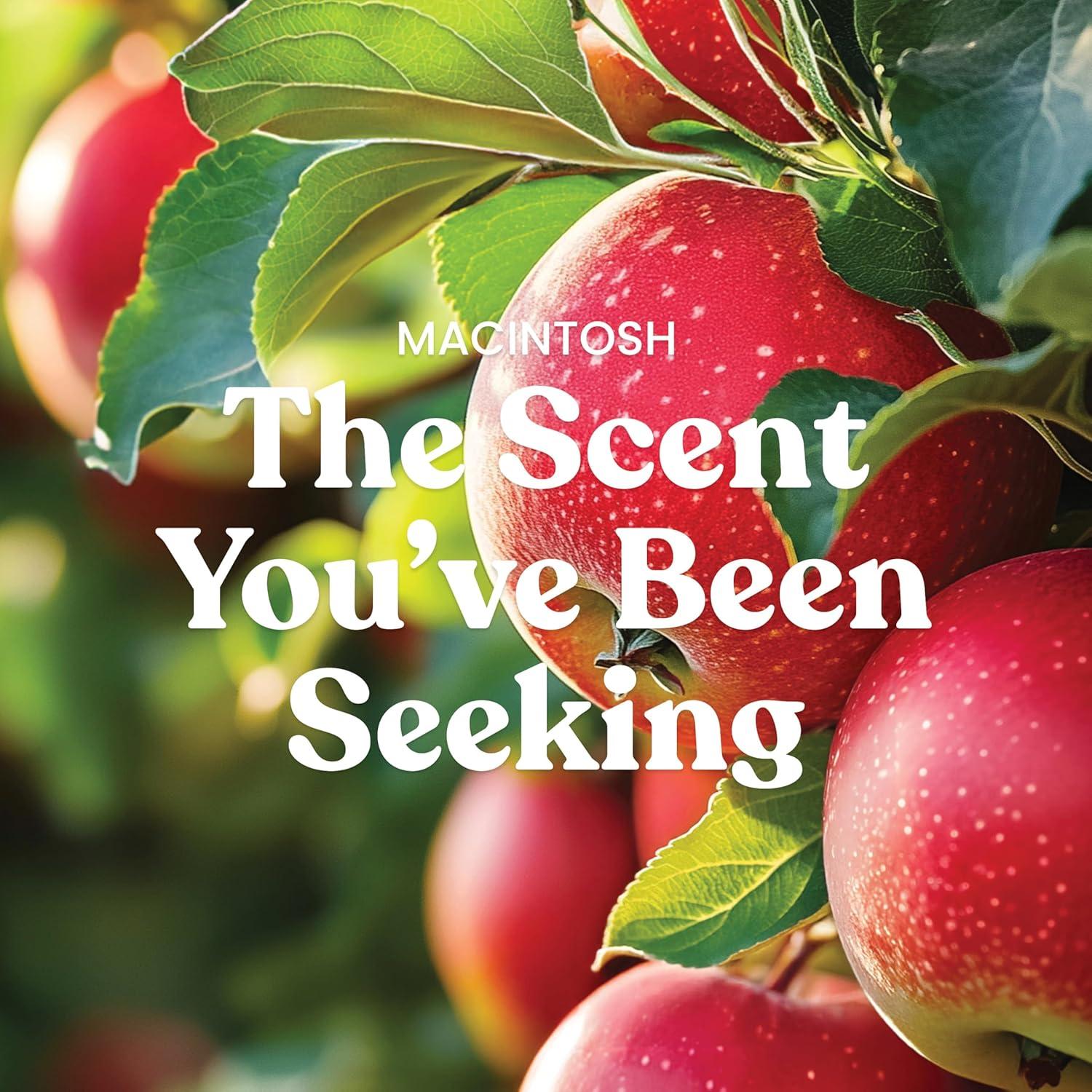 YANKEE CANDLE Signature Macintosh Scented Tumbler Candle & Reviews | Wayfair