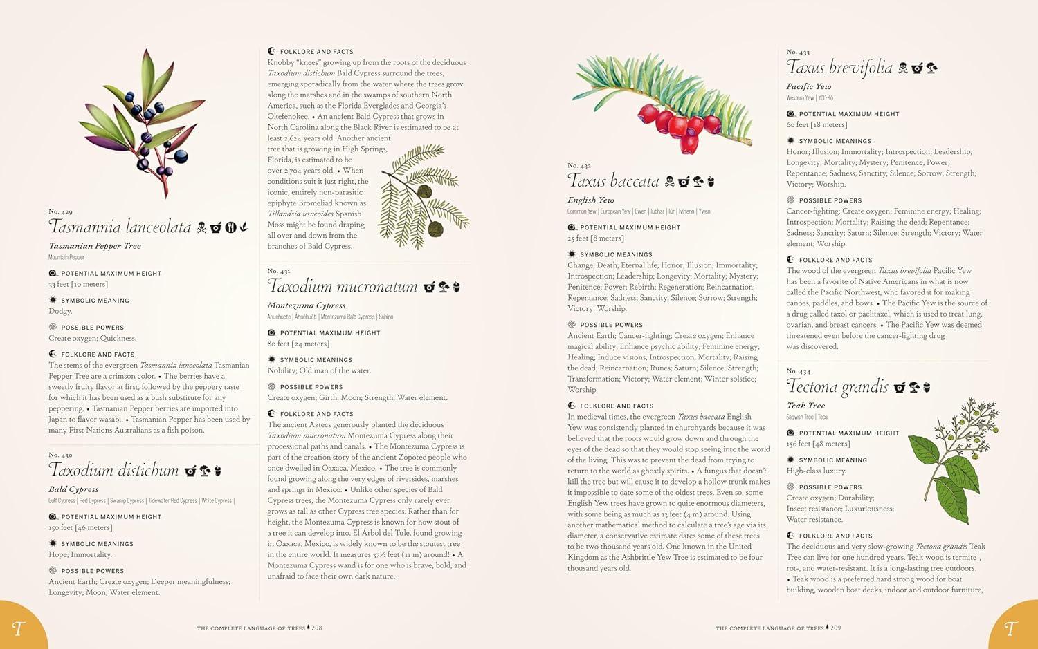 The Complete Language of Trees - Pocket Edition - by  S Theresa Dietz (Hardcover)