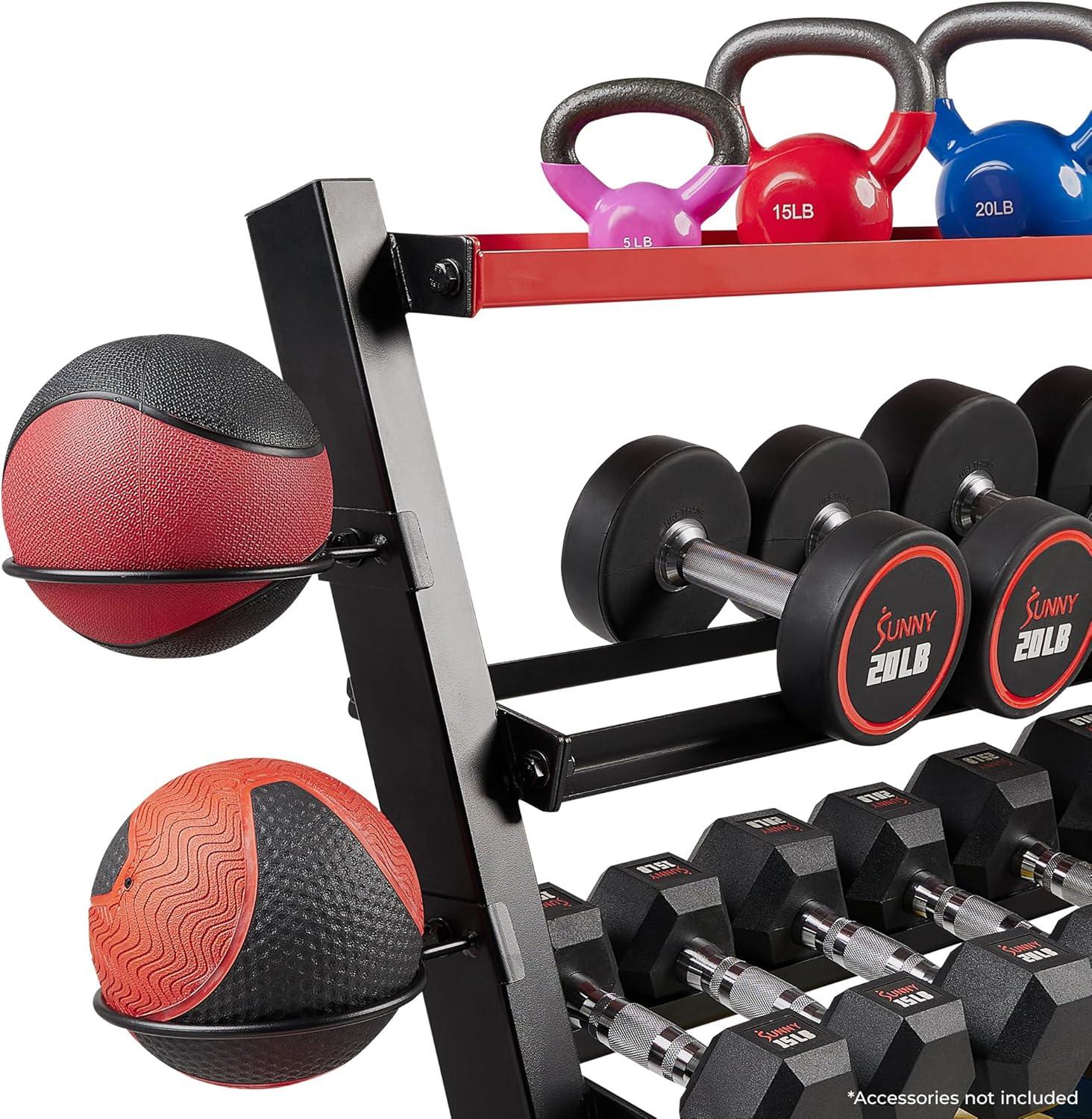 Sunny Health & Fitness All-In-One Weights Storage Rack Stand