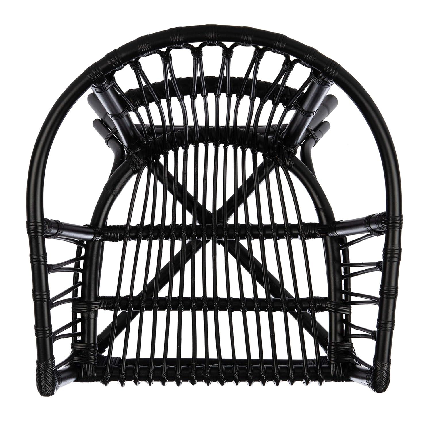 Adriana Rattan Accent Chair - Set of 2 - ACH6505 - Black - Safavieh
