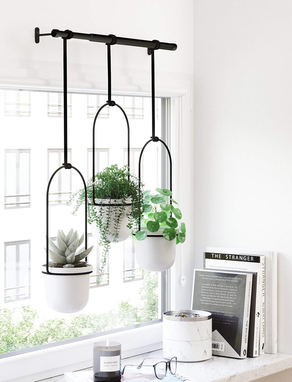 Tri-Flora Hanging Planter