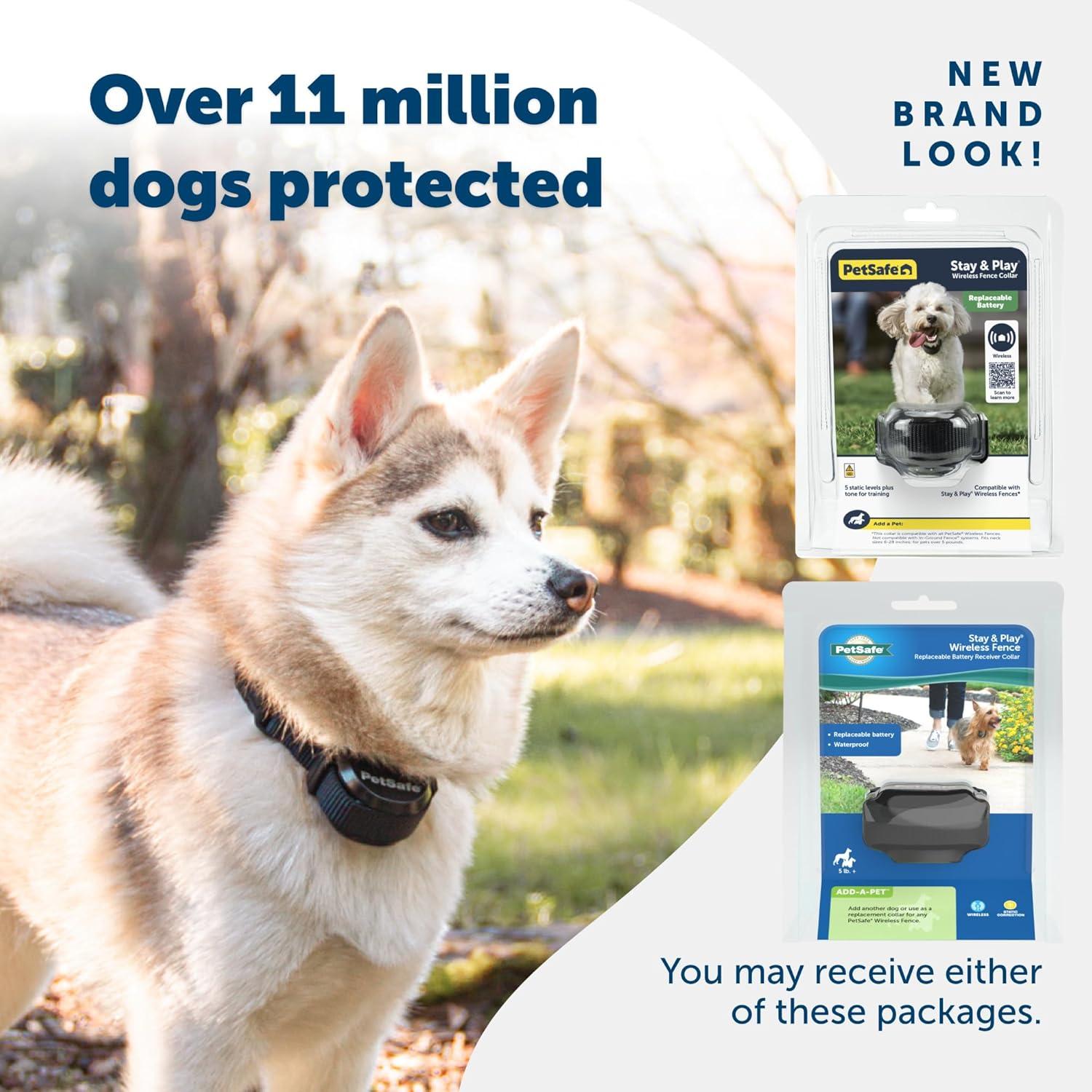 PetSafe® Stay & Play® Wireless Fence Replaceable Battery Receiver Collar