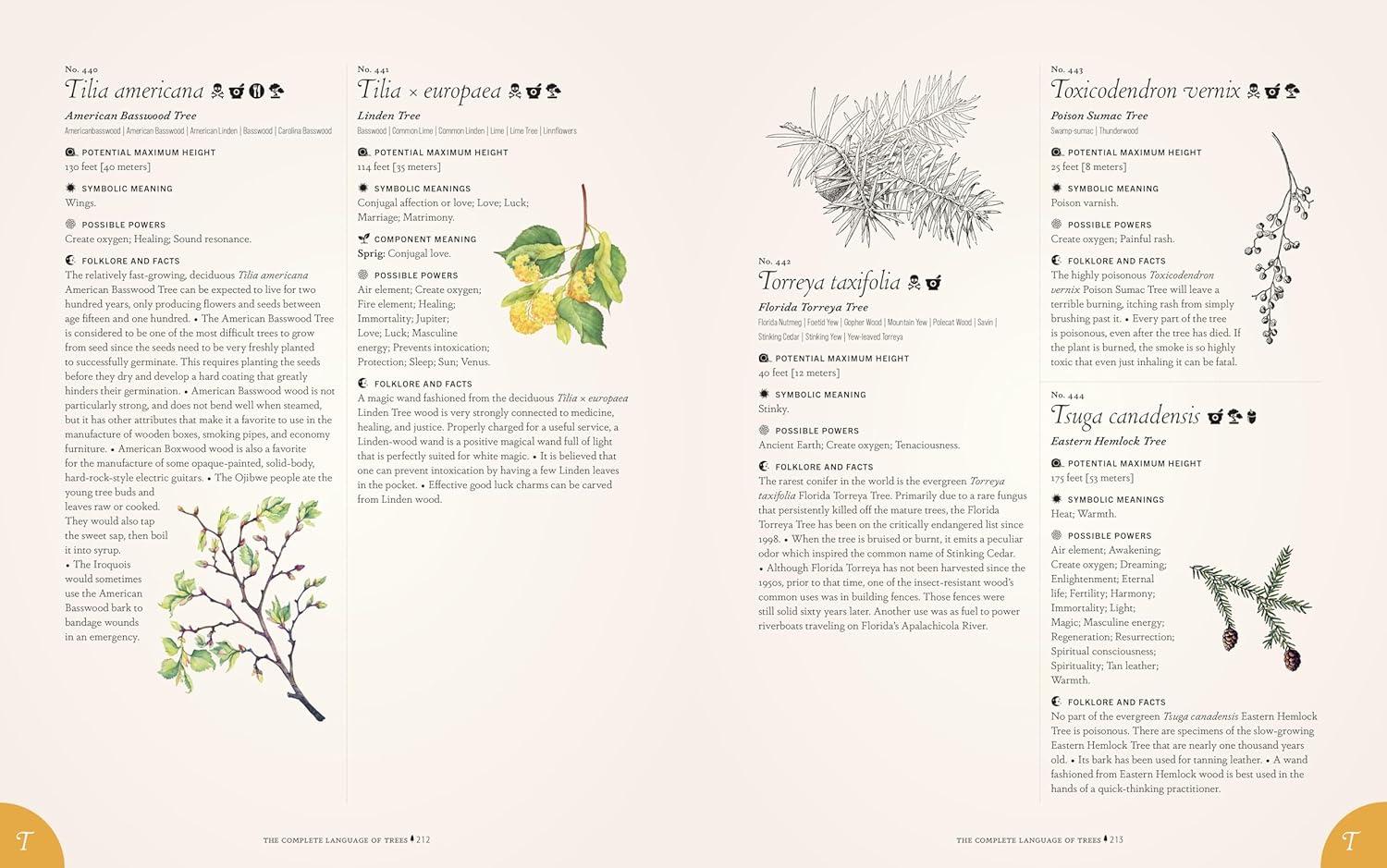 The Complete Language of Trees - Pocket Edition - by  S Theresa Dietz (Hardcover)